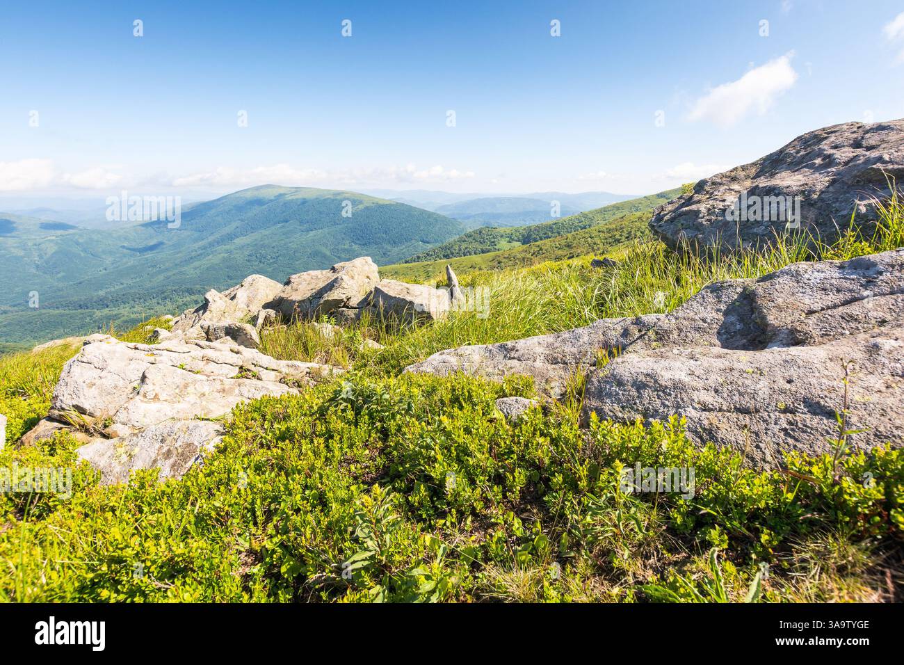 paysage montagneux des carpates en été. vue panoramique. paysage alpin avec collines herbeuses. fond vert de nature. environnement vert Banque D'Images