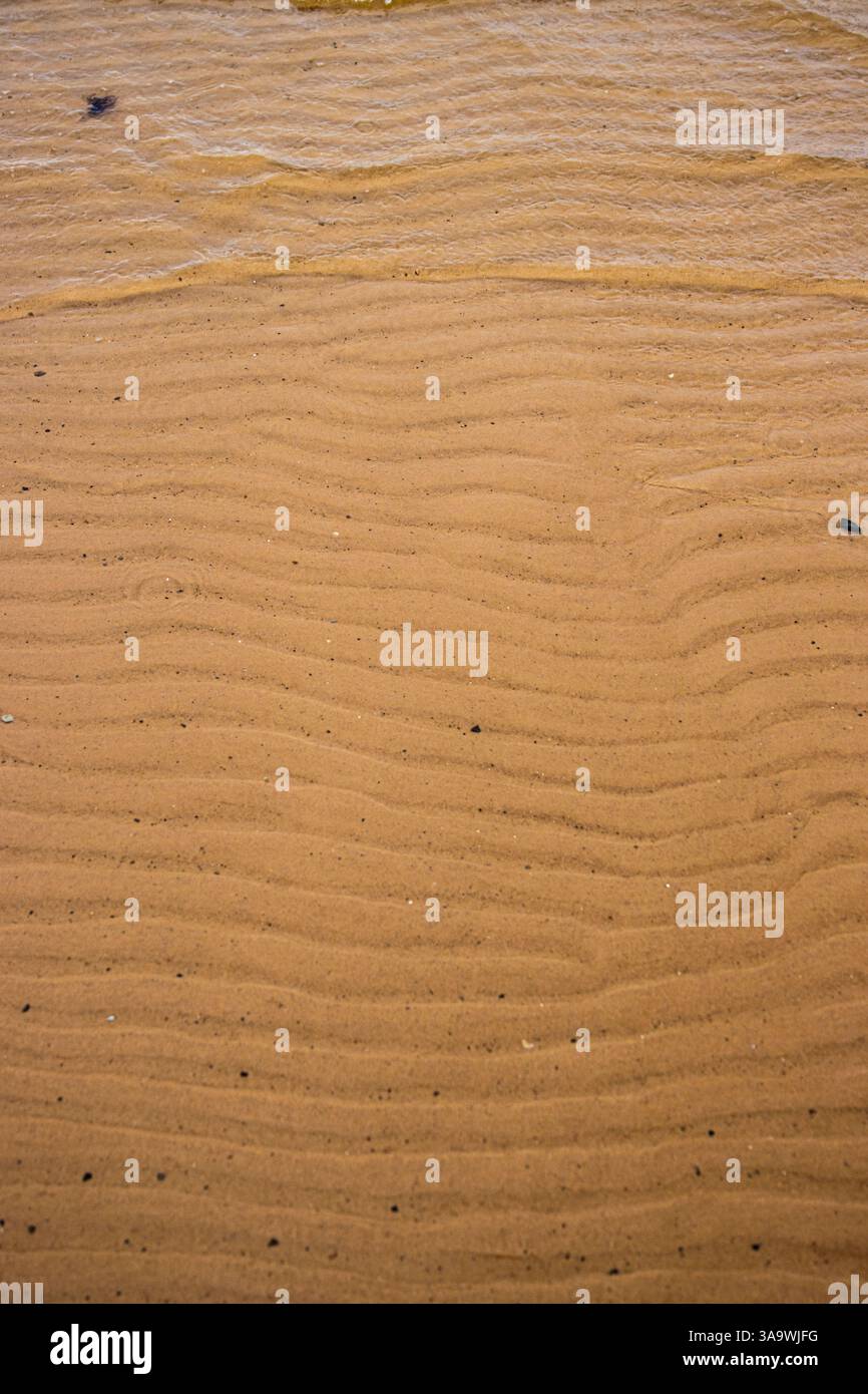 Sable humide sans couture avec de l'eau de mer sur un fond entier. Fond marin sablonneux et ondulé vide. Surface de plage exotique Sandy Ocean. Vue de dessus. Simple, minimaliste Banque D'Images