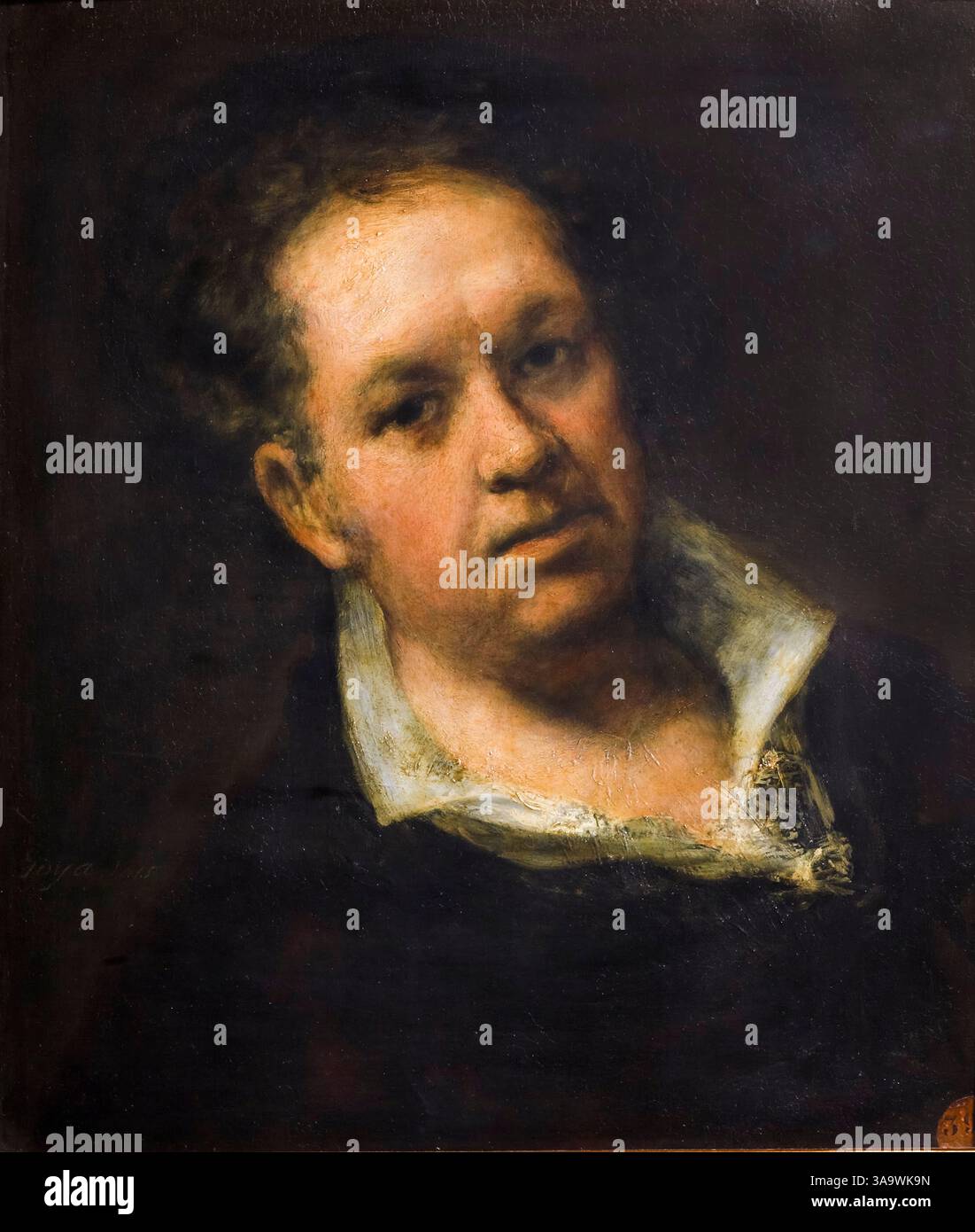 Goya. Autoportrait du peintre et graveur romantique espagnol Francisco José de Goya y Lucientes (1746-1828) à l'huile sur panneau, 1815 Banque D'Images
