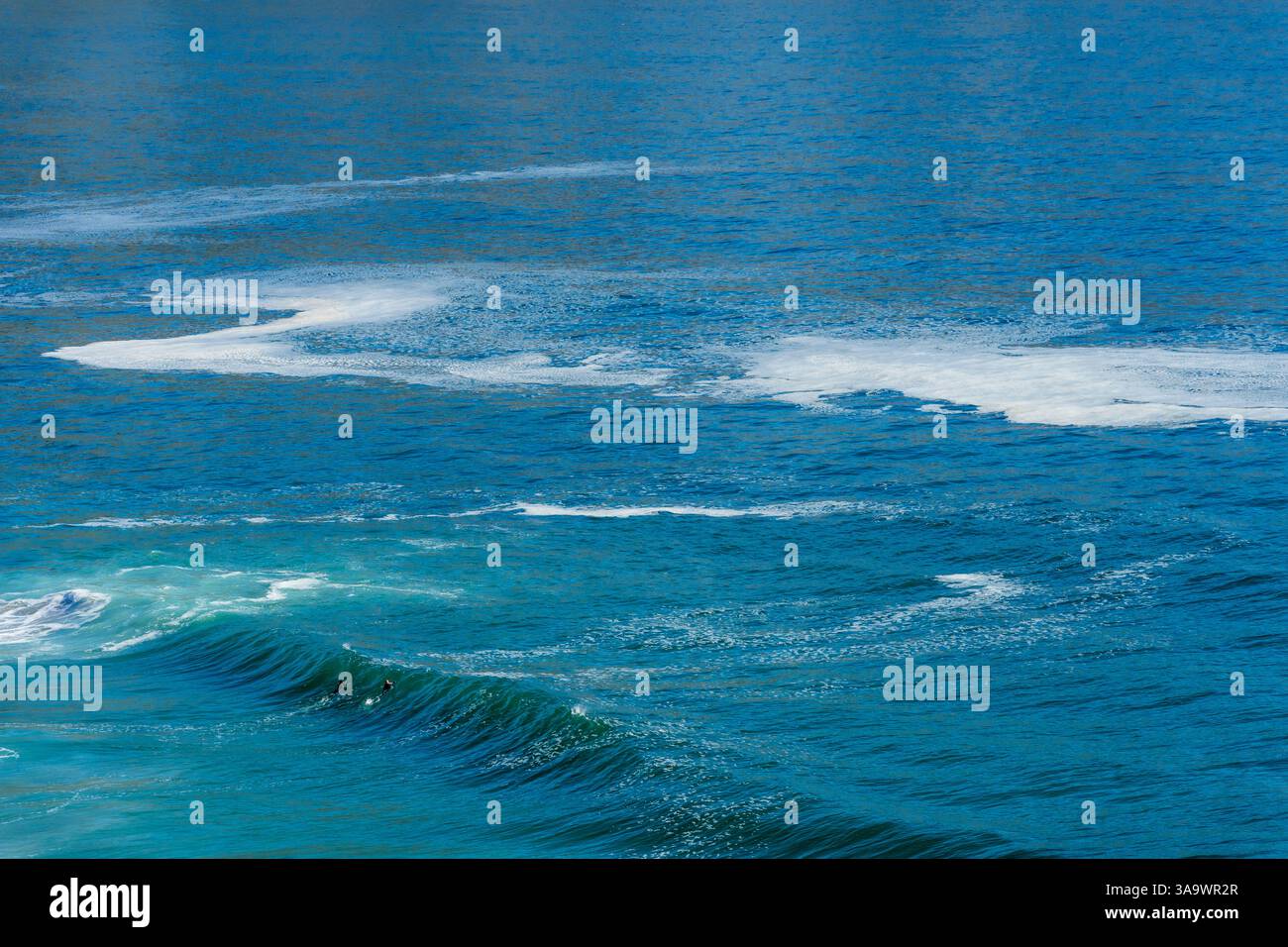 Deux petits surfeurs franchissant une vague de l'océan Atlantique le long de Clarence Drive entre Gordon's Bay et Rooi-Els près de Cape Town, Western Cape. Afrique du Sud Banque D'Images