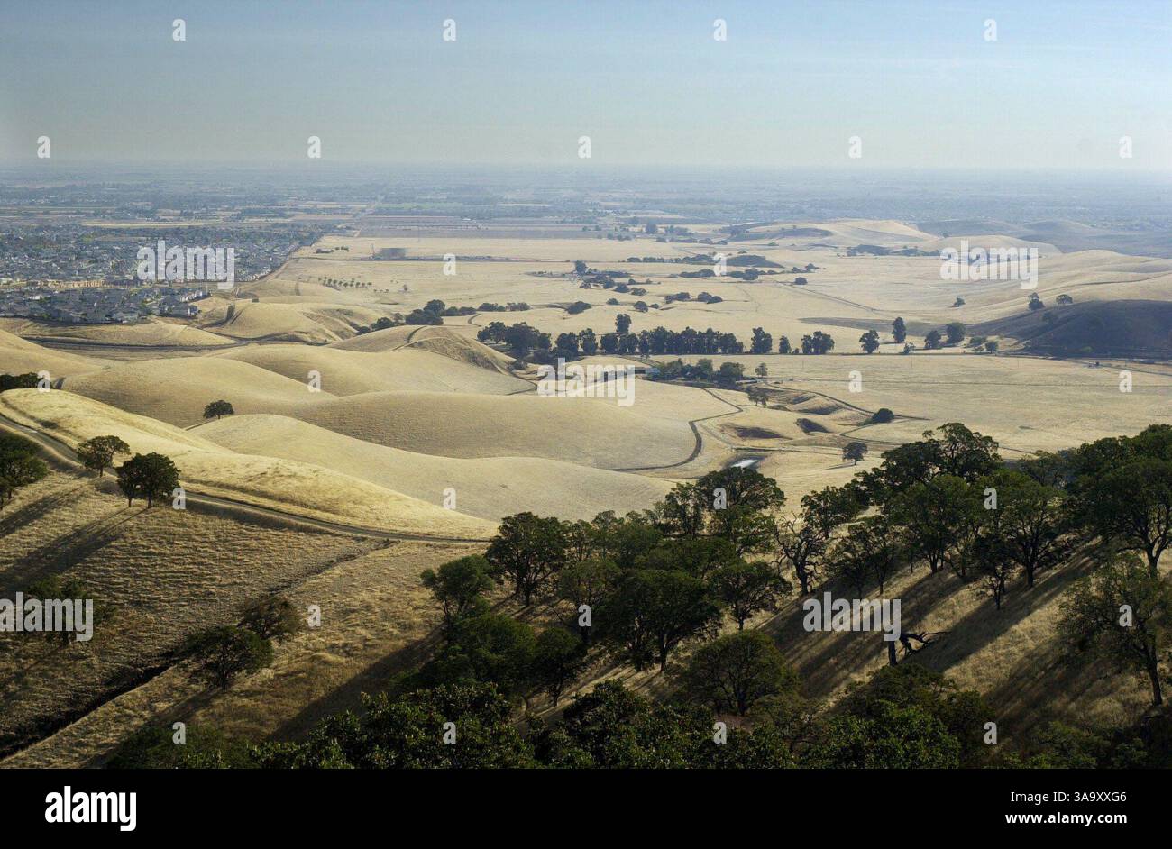 Cette terre nichée à Black Diamond Mines Regional Preserve et jusqu'à Deer Valley Rd À Antioche, la Californie est l'endroit où la ville d'Antioche et les promoteurs essaient de construire 5 000 maisons juste à côté de la réserve. Mercredi 30 octobre 2002. (Herman Bustamante Jr./CONTRA COSTA TIMES) /ZUMA Press Banque D'Images