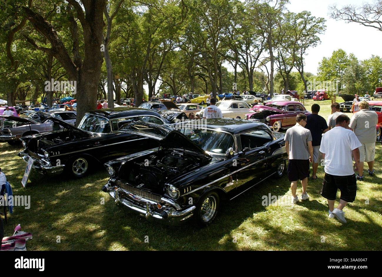 Les gens regardent les nombreuses voitures exposées lors du salon automobile « Cappuccino Cruisers » au Rusch Park à Citrus Heights, dimanche 23 mai 2004. Le spectacle, qui s'est déroulé de 10 h à 16 h, a présenté plus de 250 classiques restaurés d'avant 1974, camions, hot rods et cannes de rue pendant l'événement. Sacramento Bee/Brian Baer/ZUMA Press Banque D'Images