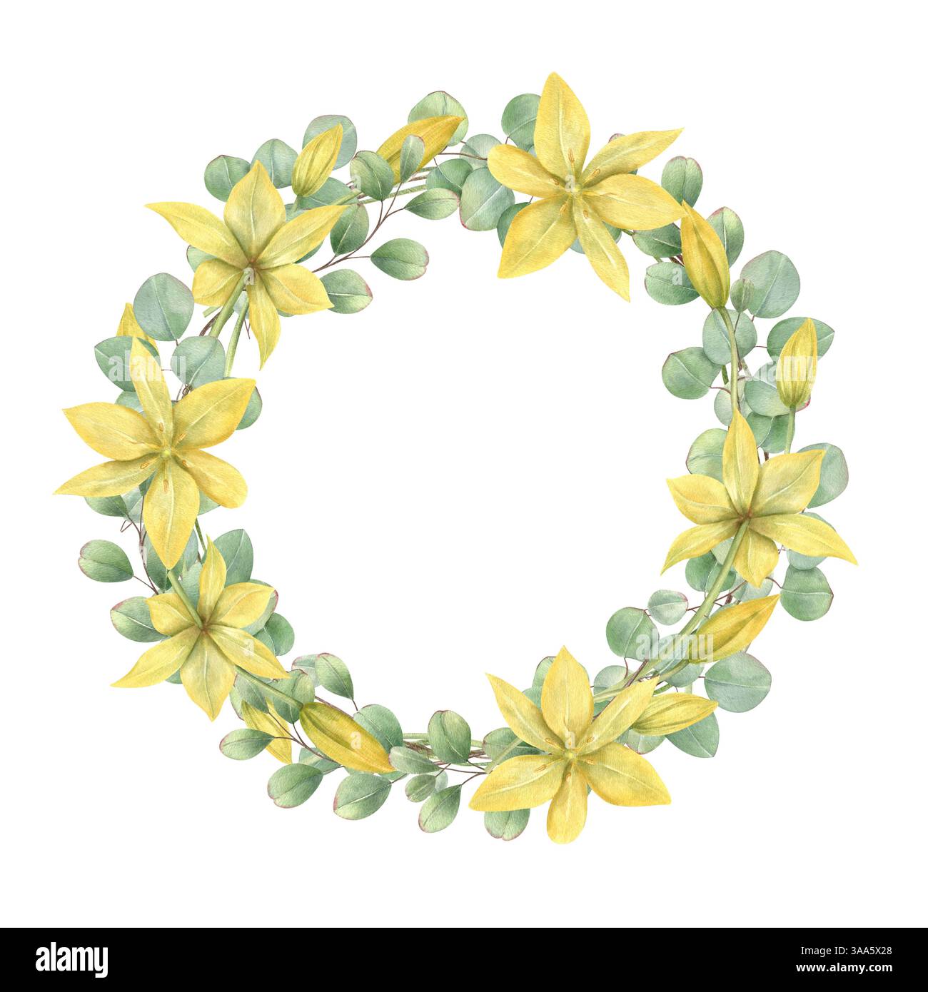 Fleurs de tulipe jaune printemps, eucalyptus vert feuilles couronne aquarelle avec espace vide pour le texte. Primroses sauvages illustration florale isolée Banque D'Images
