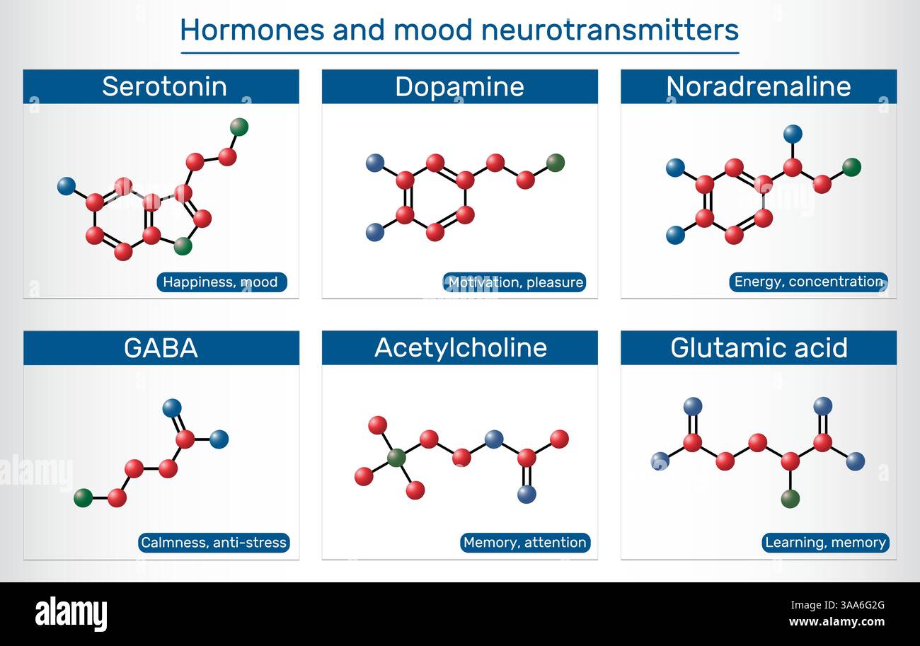 Hormones et neurotransmetteurs de l'humeur. Sérotonine, dopamine, noradrénaline, GABA, acétylcholine, molécule d'acide glutamique Illustration de Vecteur