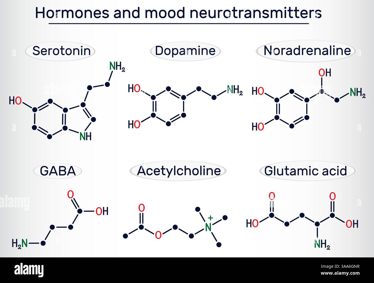 Hormones et neurotransmetteurs de l'humeur. Sérotonine, dopamine, noradrénaline, GABA, acétylcholine, molécule d'acide glutamique Illustration de Vecteur