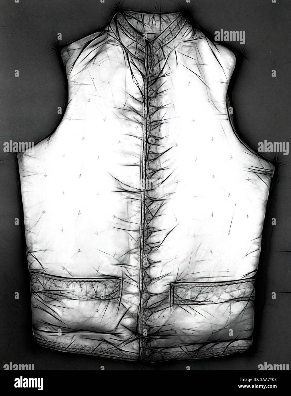 Veste élégante et stylisée avec col montant et deux poches avant, présentant une surface texturée qui ajoute de la profondeur et du caractère. Le design met en valeur la coupe ajustée et les coutures uniques, créant une silhouette accrocheuse., Art classique avec une touche moderne réinventée par Artotop, basé sur gilet de costume, 19ème siècle, France, soie, tissage satiné, brodé avec soie, longueur : 62,3 cm (24 1/2 po.) Banque D'Images