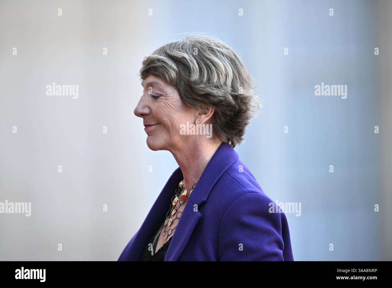 Paris, France. 31 mars 2025. Stéphane Pallez, le PDG du groupe français de jeux de loterie et de Paris sportifs, est arrivé au Palais présidentiel de l'Élysée pour assister à un dîner d'État en l'honneur du couple royal danois, à Paris, en France, le 31 2025 mars lors de leur visite d'État. Photo par Eliot Blondet/ABACAPRESS. COM Credit : Abaca Press/Alamy Live News Banque D'Images