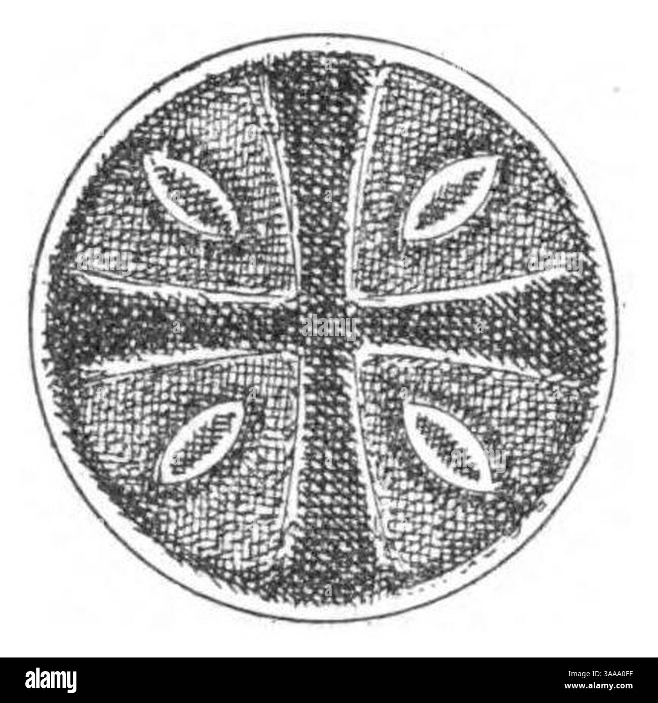 I principii scientifici del divisionismo (page 94 crop) fig.48. Banque D'Images