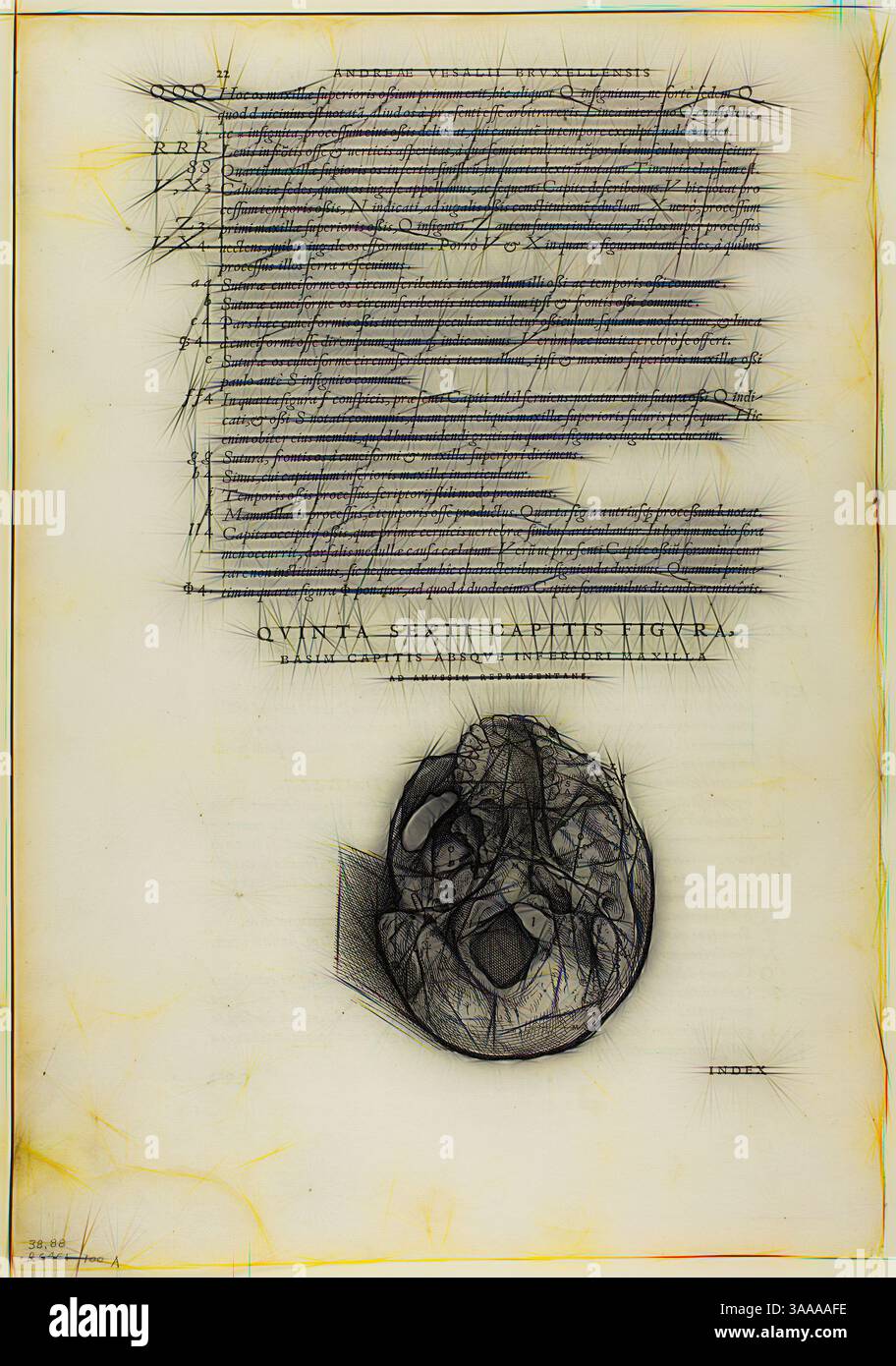 Une illustration complexe présente un dessin anatomique détaillé d'un crâne, positionné sous une série de texte manuscrit rempli d'annotations. Le fond semble vieilli, complétant l'intention savante du document, et est orné de lignes géométriques qui créent un sentiment de profondeur et de complexité., Art classique avec une touche moderne réinventé par Artotop, basé sur la feuille de de humani corporis fabrica (crâne), planche 100 de gravures sur bois de Books of the XVI Century, 1543, assemblé en portfolio 1937, attribué à Jan Stephan van Calcar (Netherlandish, 1499-1546/50), assemblé par Max Banque D'Images