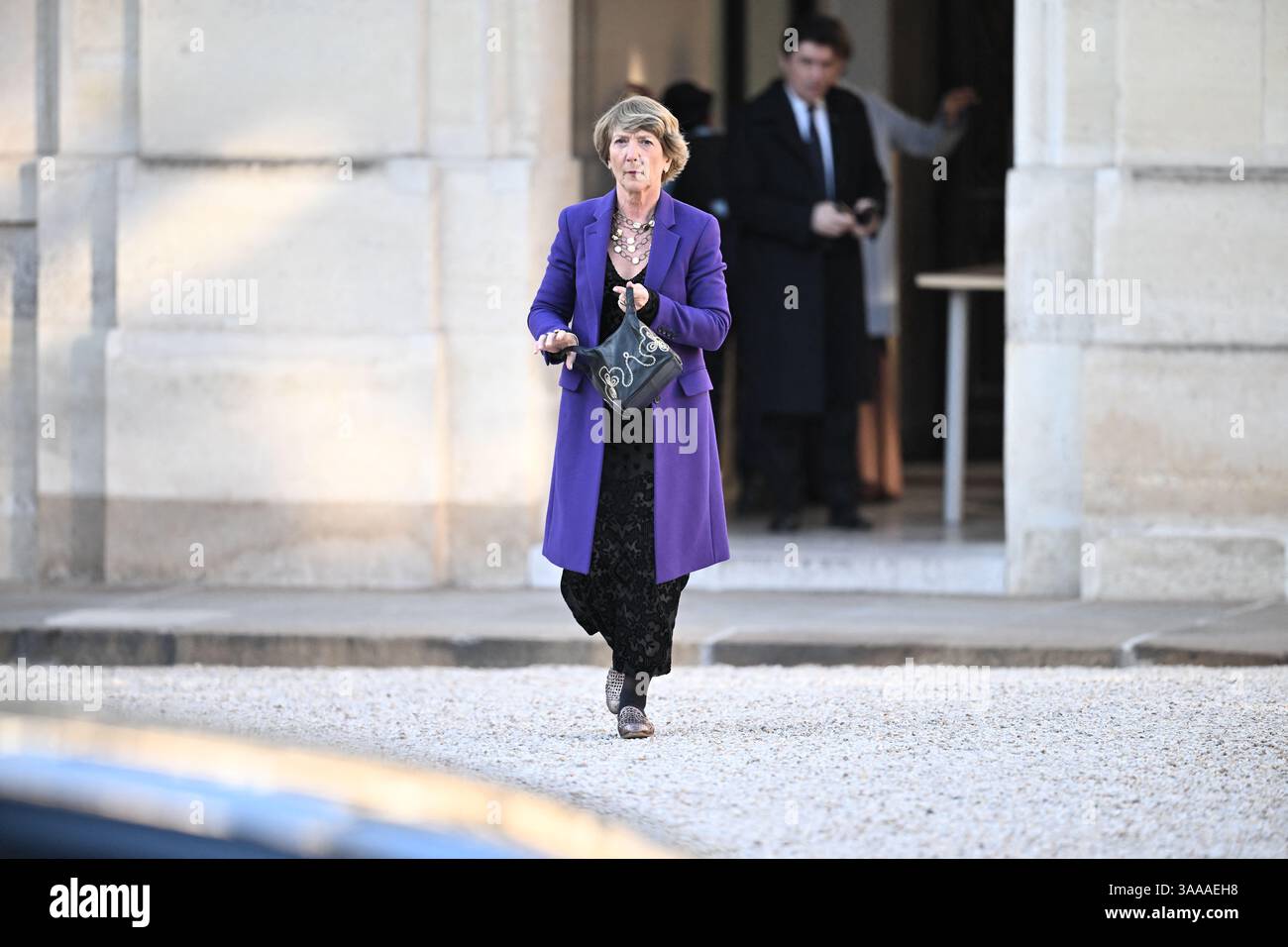 Paris, France. 31 mars 2025. Stéphane Pallez, le PDG du groupe français de jeux de loterie et de Paris sportifs, est arrivé au Palais présidentiel de l'Élysée pour assister à un dîner d'État en l'honneur du couple royal danois, à Paris, en France, le 31 2025 mars lors de leur visite d'État. Photo par Eliot Blondet/ABACAPRESS. COM Credit : Abaca Press/Alamy Live News Banque D'Images