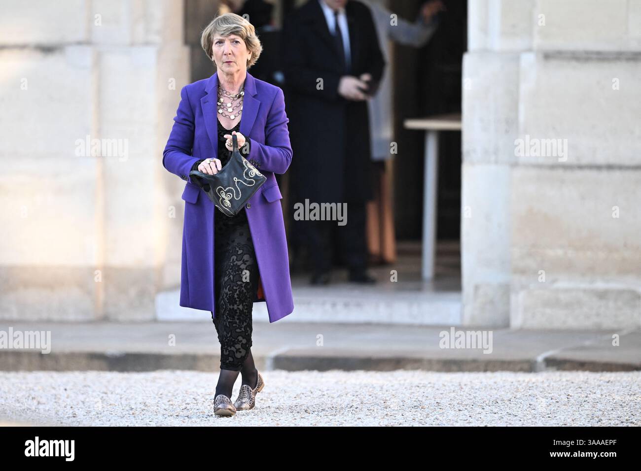 Paris, France. 31 mars 2025. Stéphane Pallez, le PDG du groupe français de jeux de loterie et de Paris sportifs, est arrivé au Palais présidentiel de l'Élysée pour assister à un dîner d'État en l'honneur du couple royal danois, à Paris, en France, le 31 2025 mars lors de leur visite d'État. Photo par Eliot Blondet/ABACAPRESS. COM Credit : Abaca Press/Alamy Live News Banque D'Images
