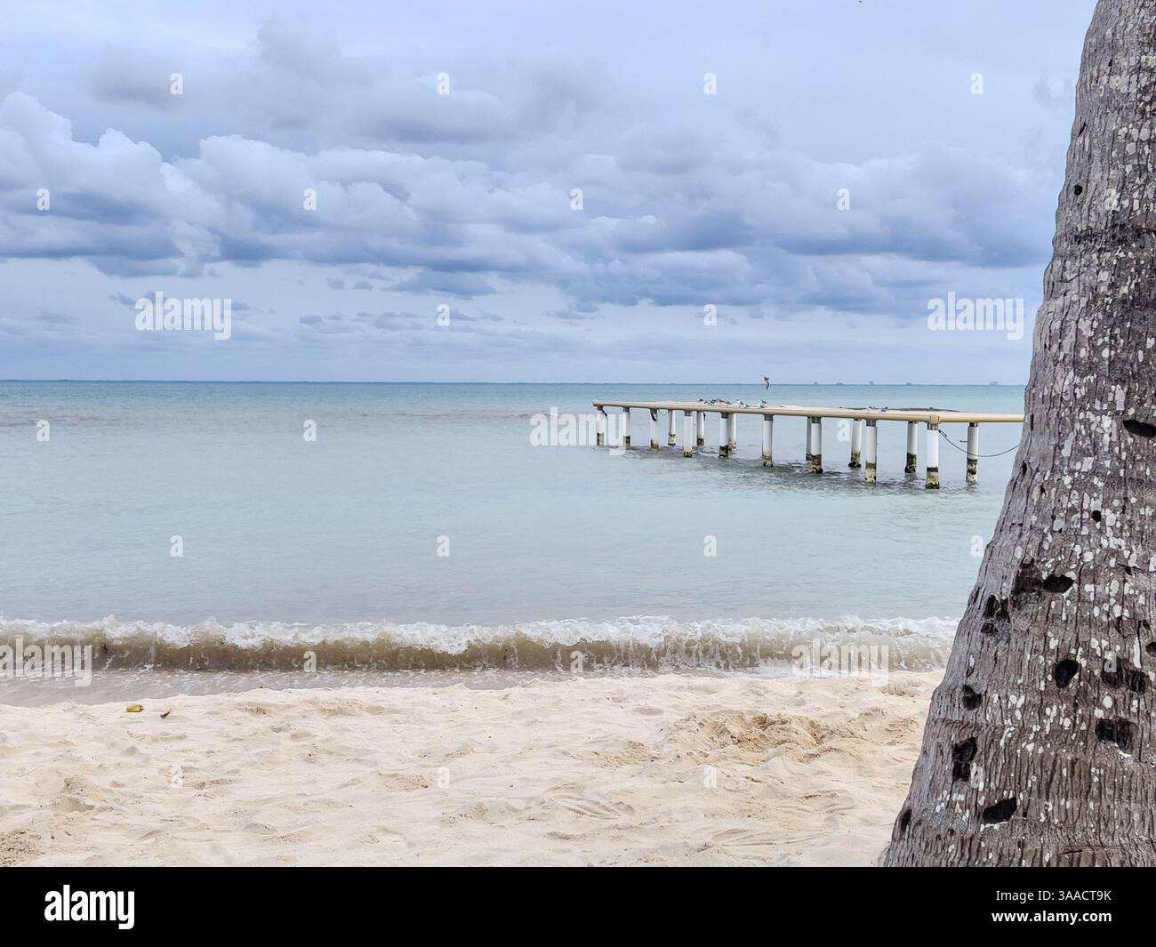 Vue sereine sur la plage avec une jetée en bois s'étendant dans les eaux calmes de l'océan, encadrée par des palmiers au premier plan. Banque D'Images