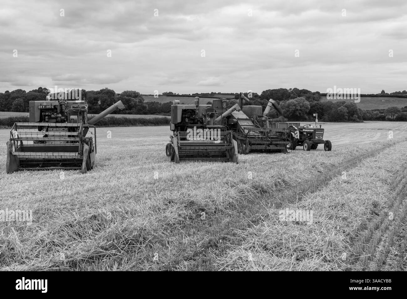 Haselbury Plucknet.Somerset.Royaume-Uni. 17 août 2024.les moissonneuses-batteuses antiques sont exposées lors d'un événement agricole de Yesterdays Banque D'Images