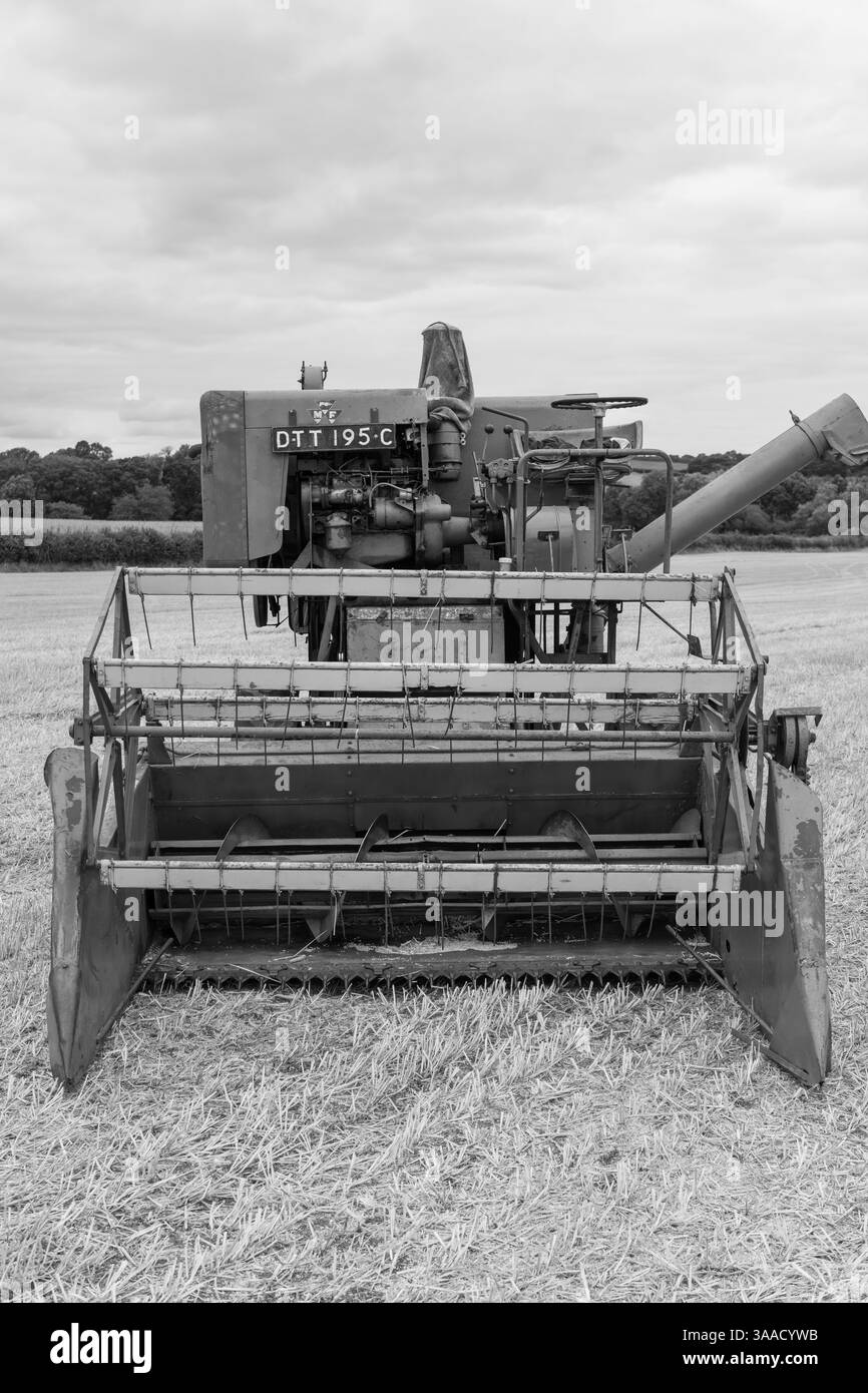Haselbury Plucknet.Somerset.Royaume-Uni. 17 août 2024.Une moissonneuse-batteuse Massey Ferguson 31 de 1965 est présentée lors d'un événement agricole de Yesterdays Banque D'Images