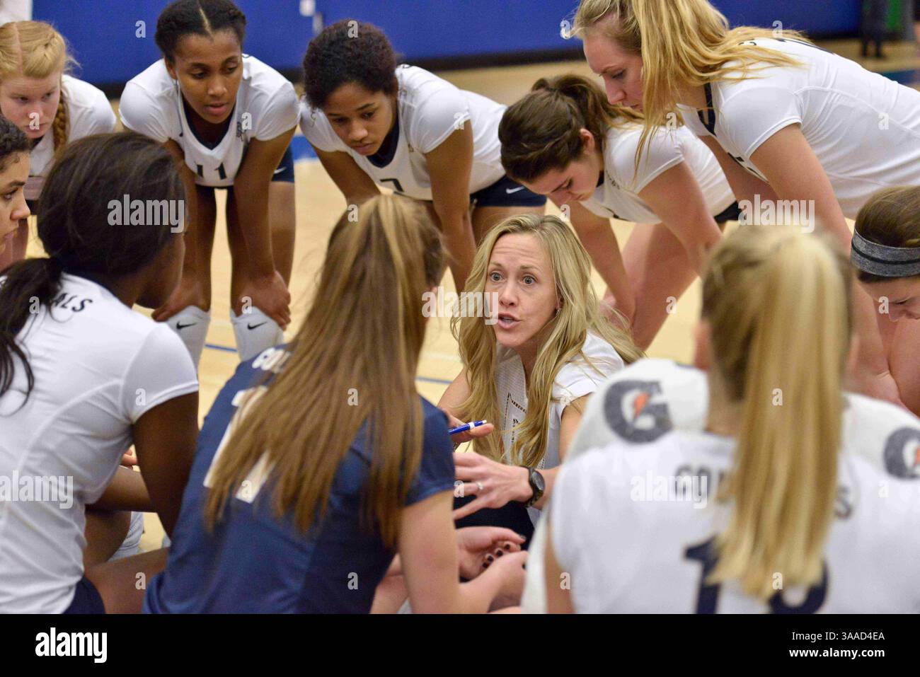 8 novembre 2015 - produit Louis, Missouri, U. S - George Washington Colonials entraîneur-chef AMANDA Ault discute avec son équipe lors d'un time-out lors d'un match de conférence tenu au Chaifetz Arena Pavilion à Louis, MO. L'Université Saint Louis a battu George Washington par le score de 3-0 (crédit image : © Richard Ulreich via ZUMA Wire) Banque D'Images