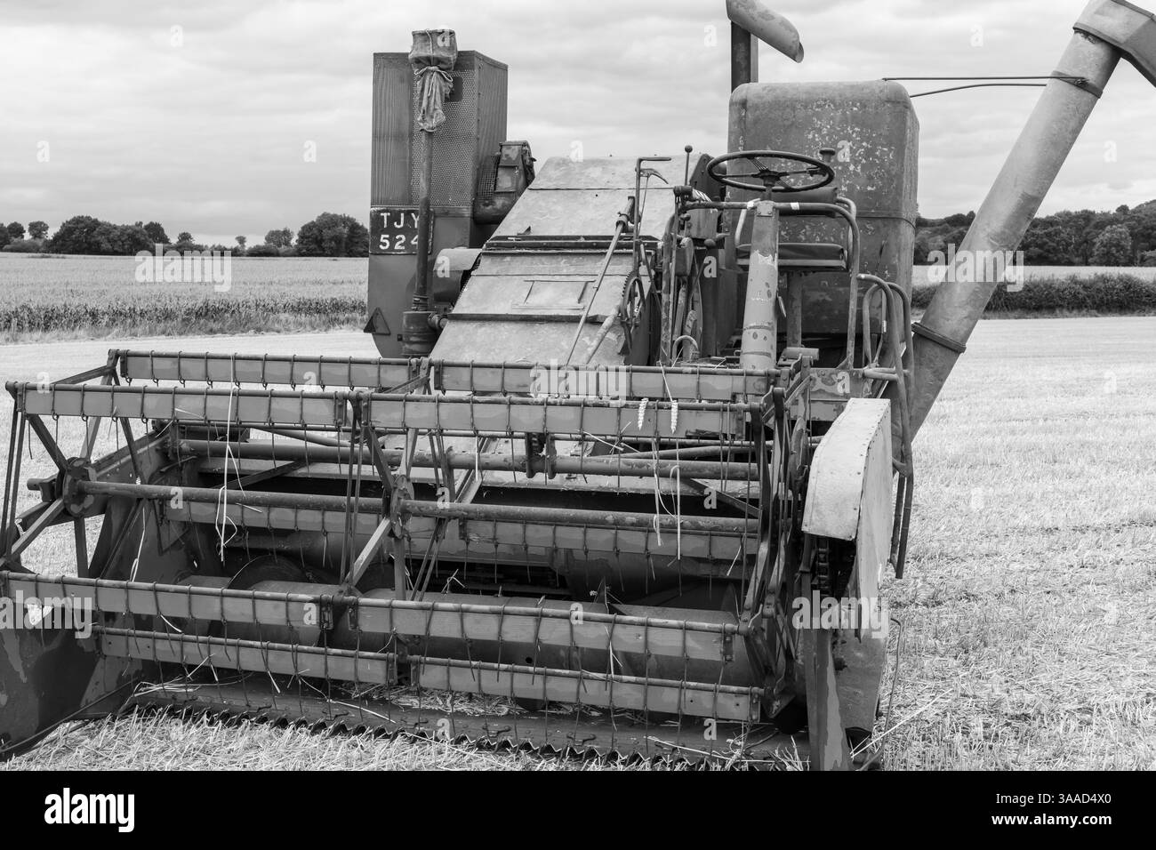 Haselbury Plucknet.Somerset.Royaume-Uni. 17 août 2024.une moissonneuse-batteuse Massey Ferguson ancienne est exposée lors d'un événement agricole de Yesterdays Banque D'Images