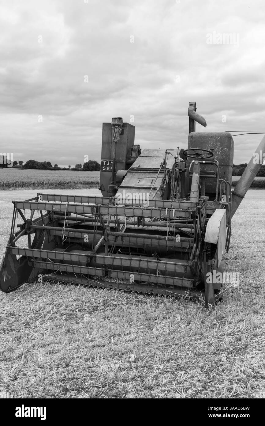 Haselbury Plucknet.Somerset.Royaume-Uni. 17 août 2024.une moissonneuse-batteuse Massey Ferguson ancienne est exposée lors d'un événement agricole de Yesterdays Banque D'Images