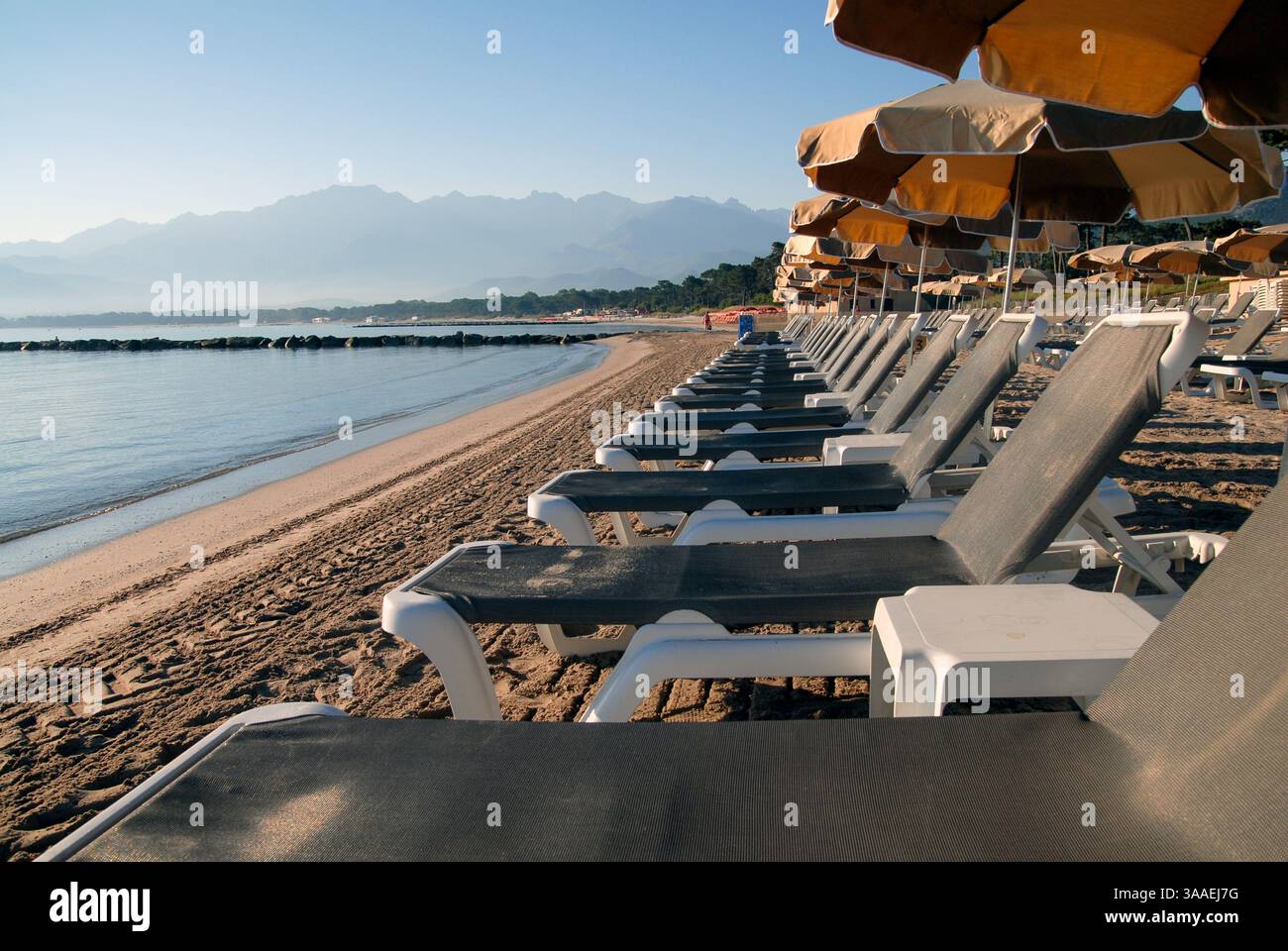 23 JUIN 2019 - Calvi, Corse - Une rangée immaculée de chaises longues prêtes le matin pour une journée sur la plage Banque D'Images