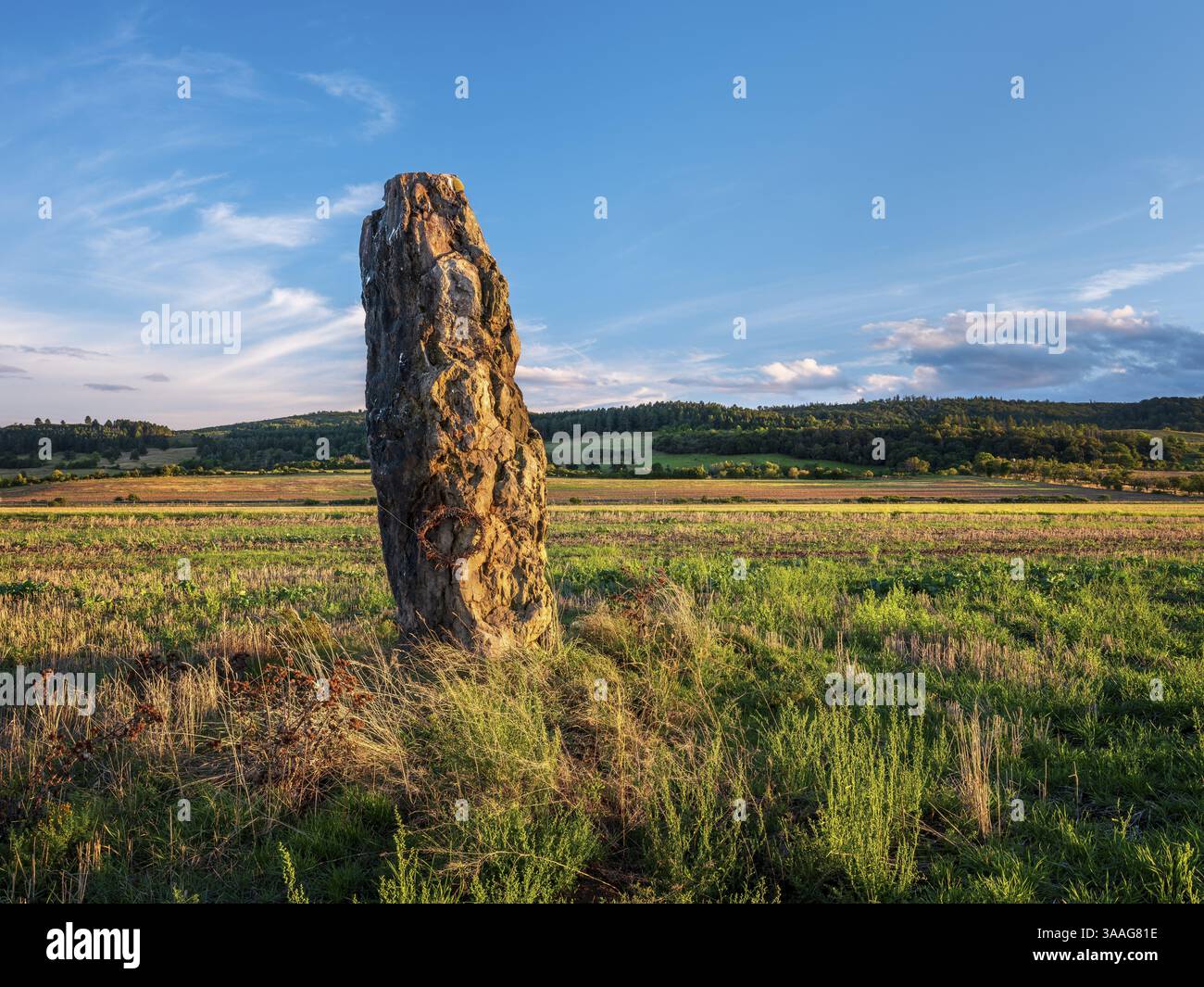 Le menhir de Benzingerode à la lumière du soir, avec une hauteur de 3,85 mètres le plus grand menhir préhistorique dans le nord de l'Allemagne, Wernigerode, Harz fo Banque D'Images