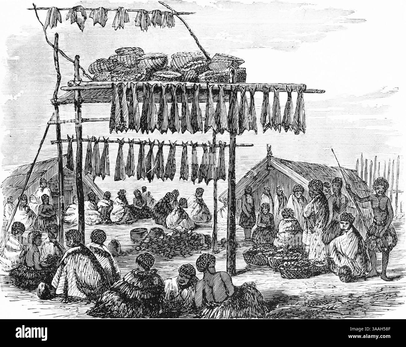 Un PA maori, avec du poisson séchant sur des étagères dans un livre écrit en 1871 par John George Wood, et publié par J. B. Burr et la compagnie Banque D'Images