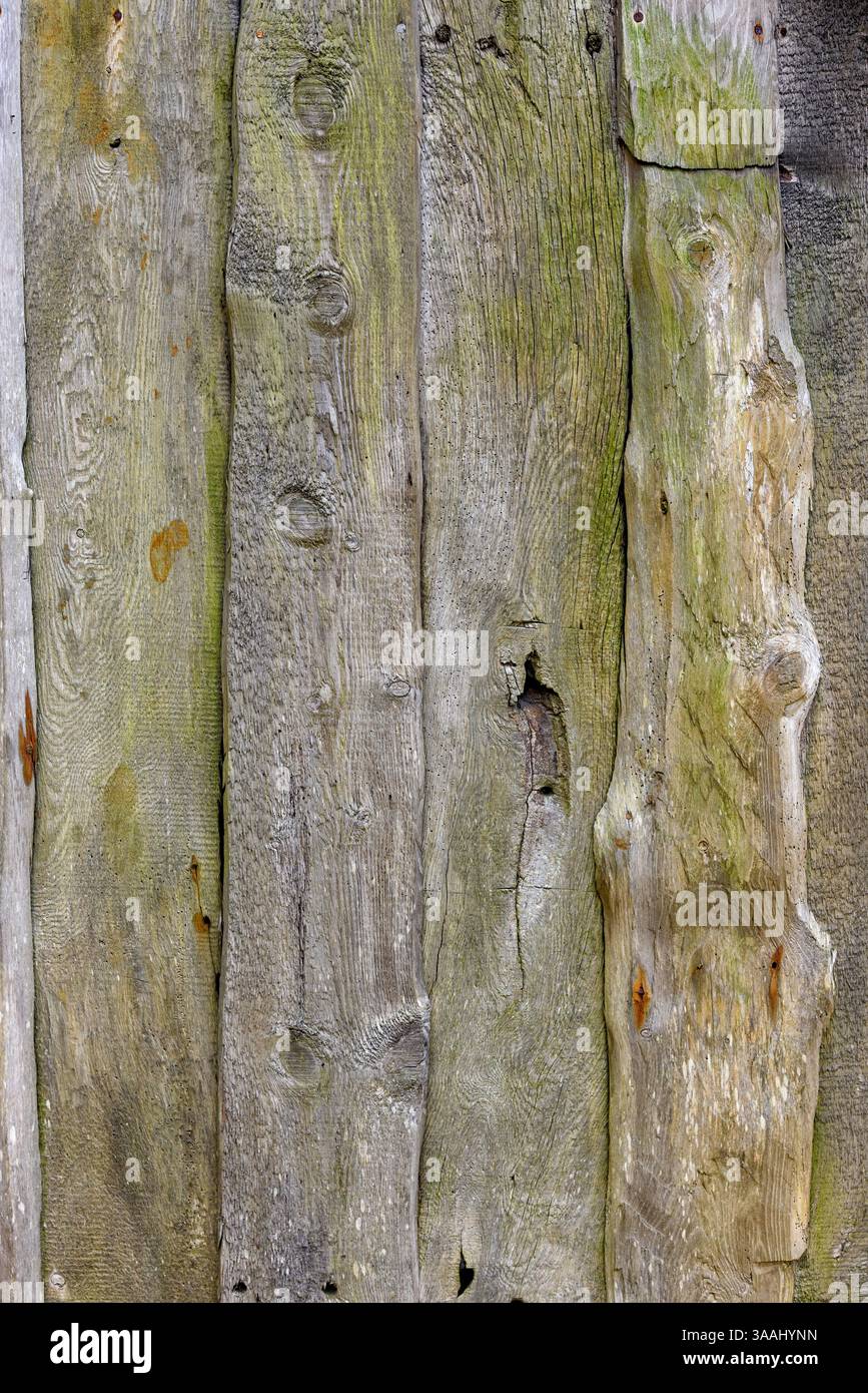 Les panneaux de bois texturés présentent des nuances et des motifs variés, soulignant le charme des matériaux altérés dans un environnement extérieur naturel. Banque D'Images