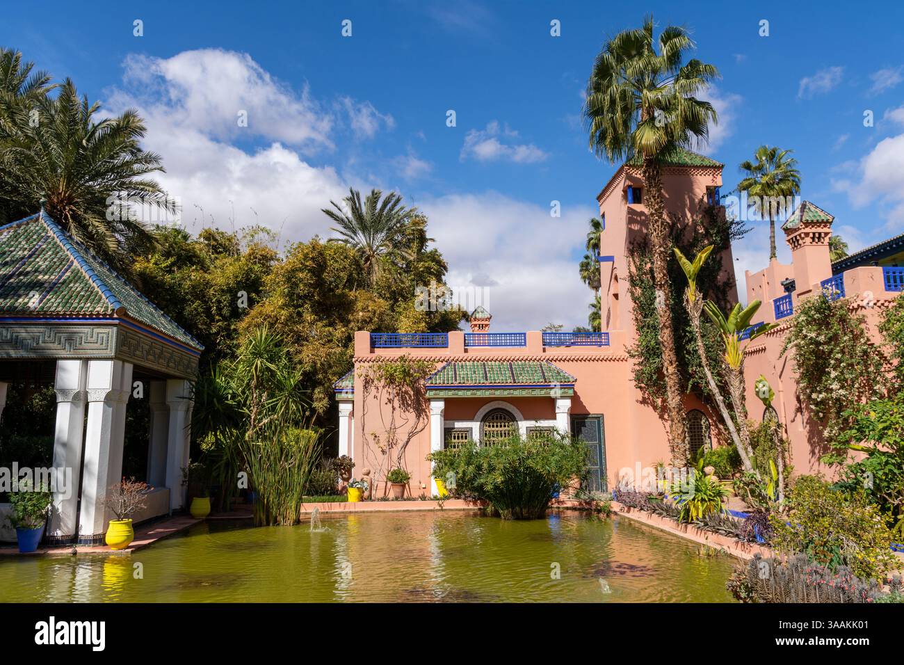 Marrakech, Maroc - 16 février 2025 étang dans le jardin Banque D'Images