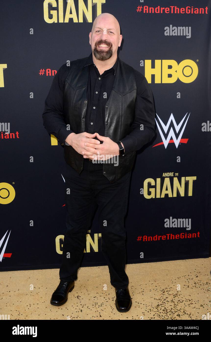 29 mars 2018 - Los Angeles, CA, États-Unis - LOS ANGELES - FEB 29 : Grand spectacle à la première HBO ''André le géant'' au Cinerama Dome le 29 février 2018 à Los Angeles, CA (crédit image : © Kathy Hutchins via ZUMA Wire) Banque D'Images