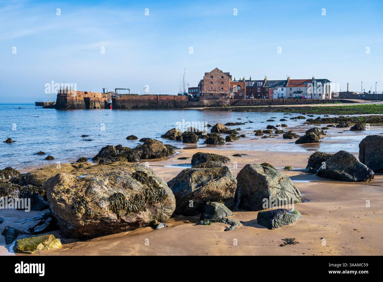 Roches exposées à marée basse sur West Bay Beach, avec le port de North Berwick en arrière-plan, North Berwick, East Lothian, Écosse, Royaume-Uni Banque D'Images