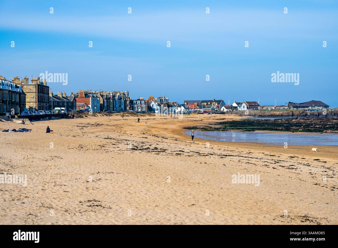 Marée basse à Milsey Bay Beach en direction de l'ouest vers Scottish Seabird Centre à North Berwick, East Lothian, Écosse, Royaume-Uni Banque D'Images