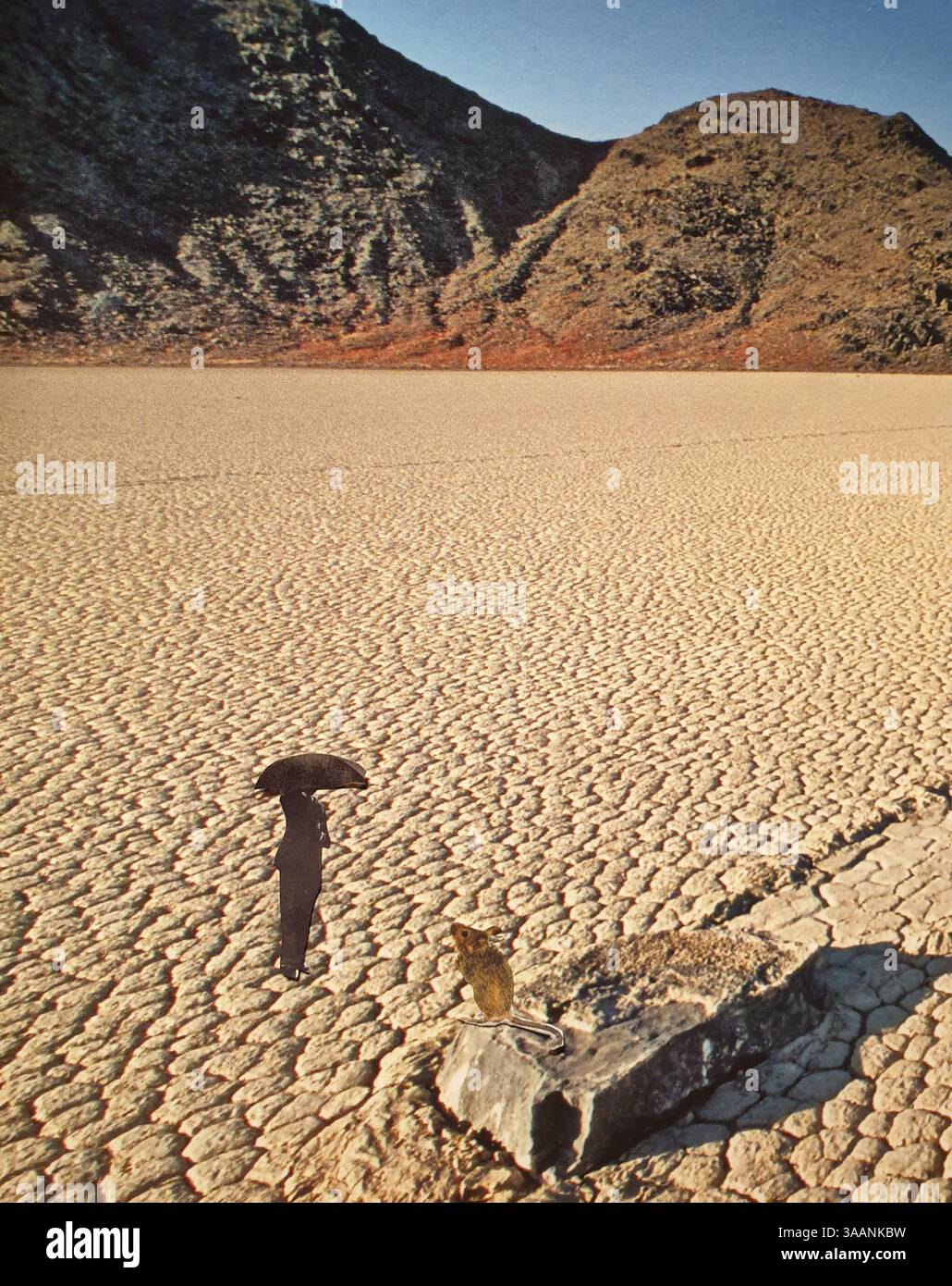 Art conceptuel de collage surréaliste d'un homme et d'une souris perdus dans le désert Banque D'Images