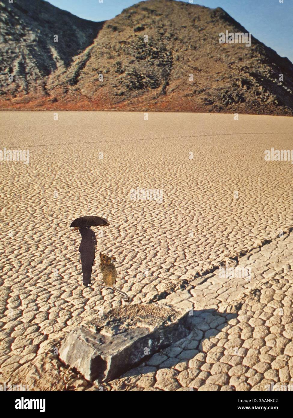 Art conceptuel de collage surréaliste d'un homme et d'une souris perdus dans le désert Banque D'Images