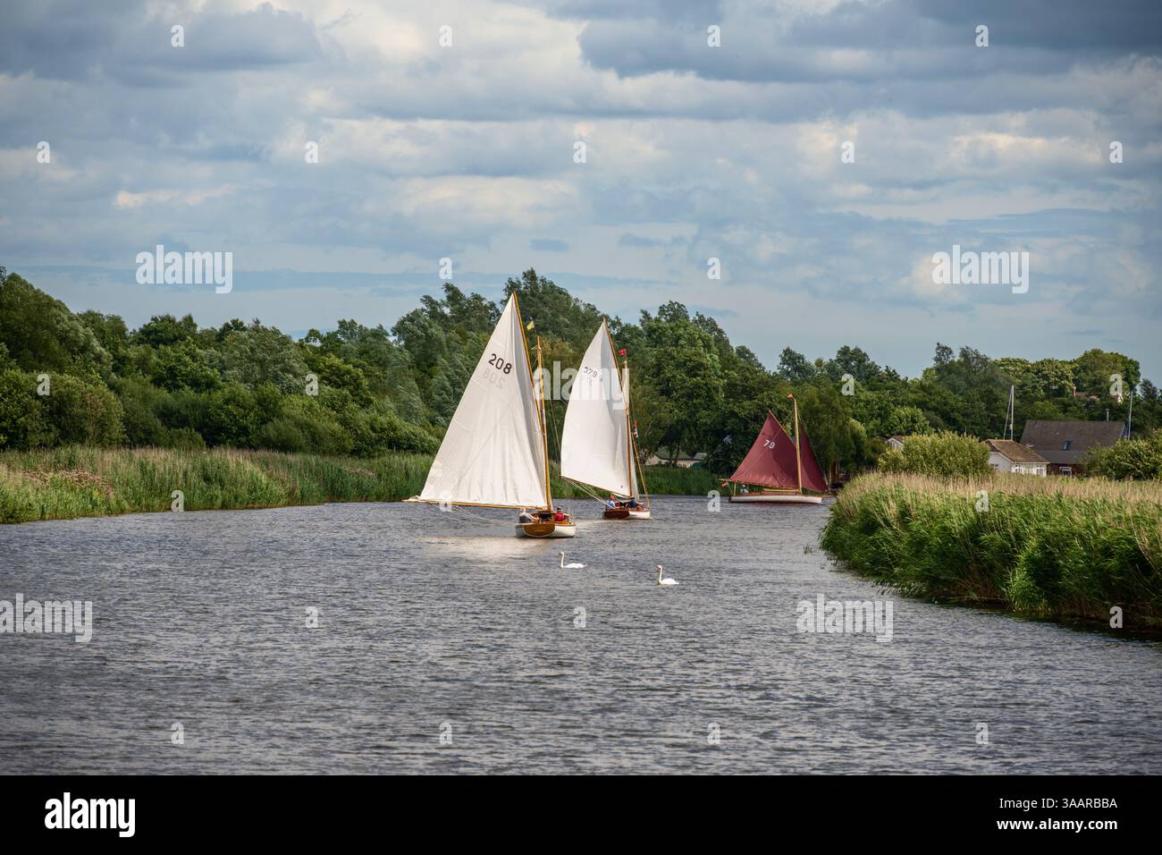 Traditional Vintage Yachts, Norfolk Broads, Wroxham, Royaume-Uni Banque D'Images
