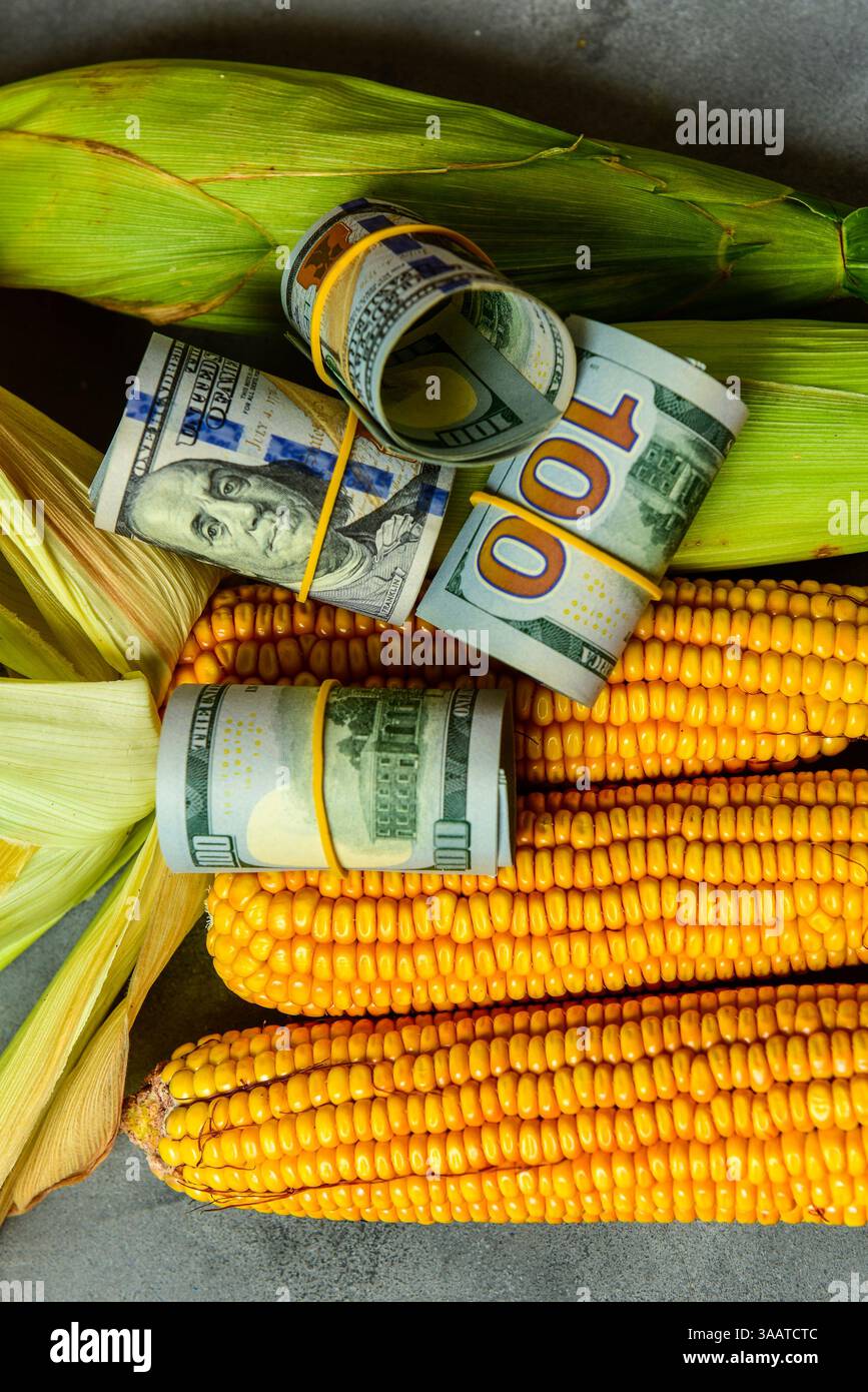 Billets d'un dollar avec des graines de maïs (Zea mays) concept agro-industriel de la production agricole et agro-dollars en Argentine' Banque D'Images