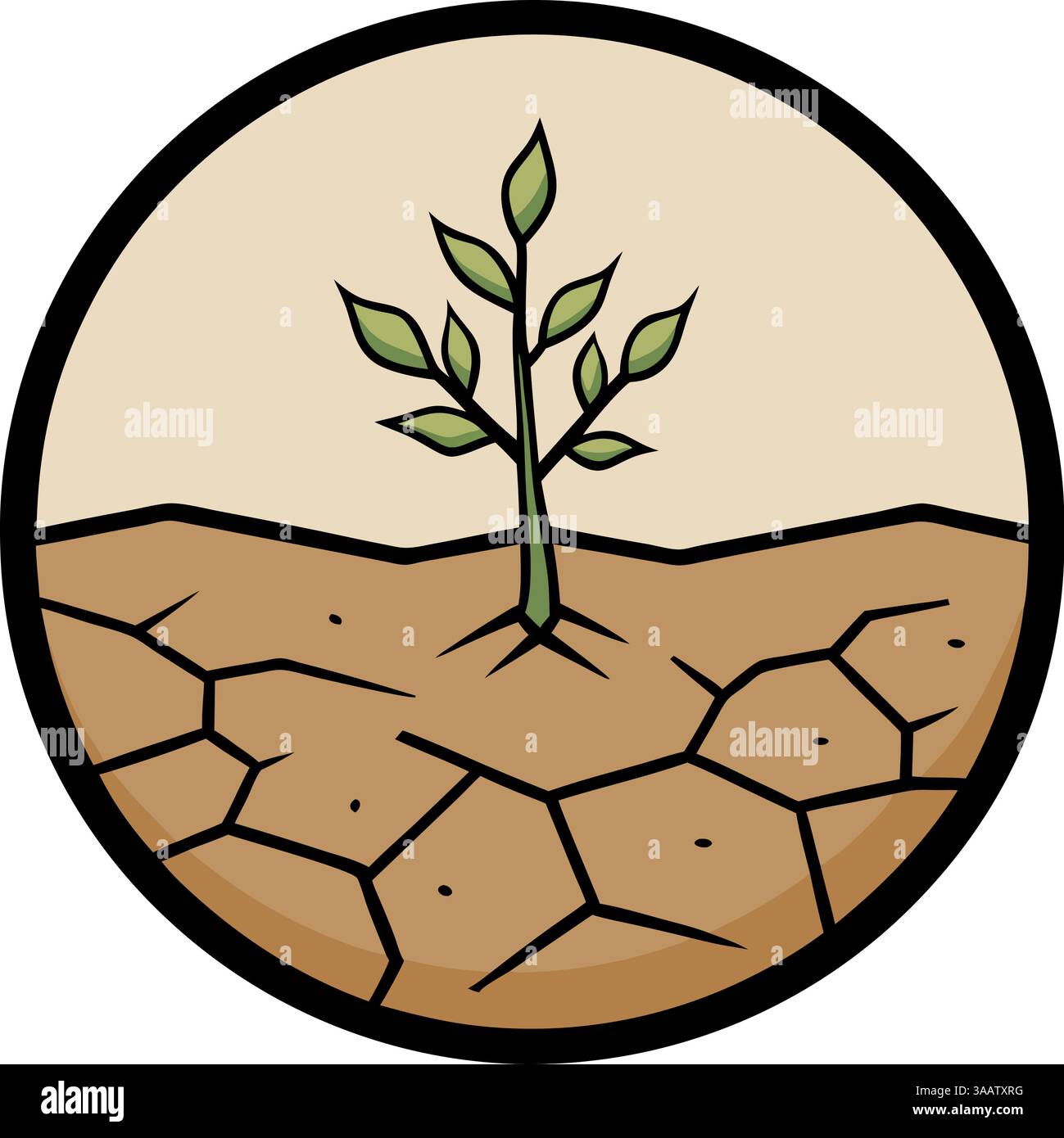 Plante germinale dans un sol sec fissuré. Illustration de Vecteur