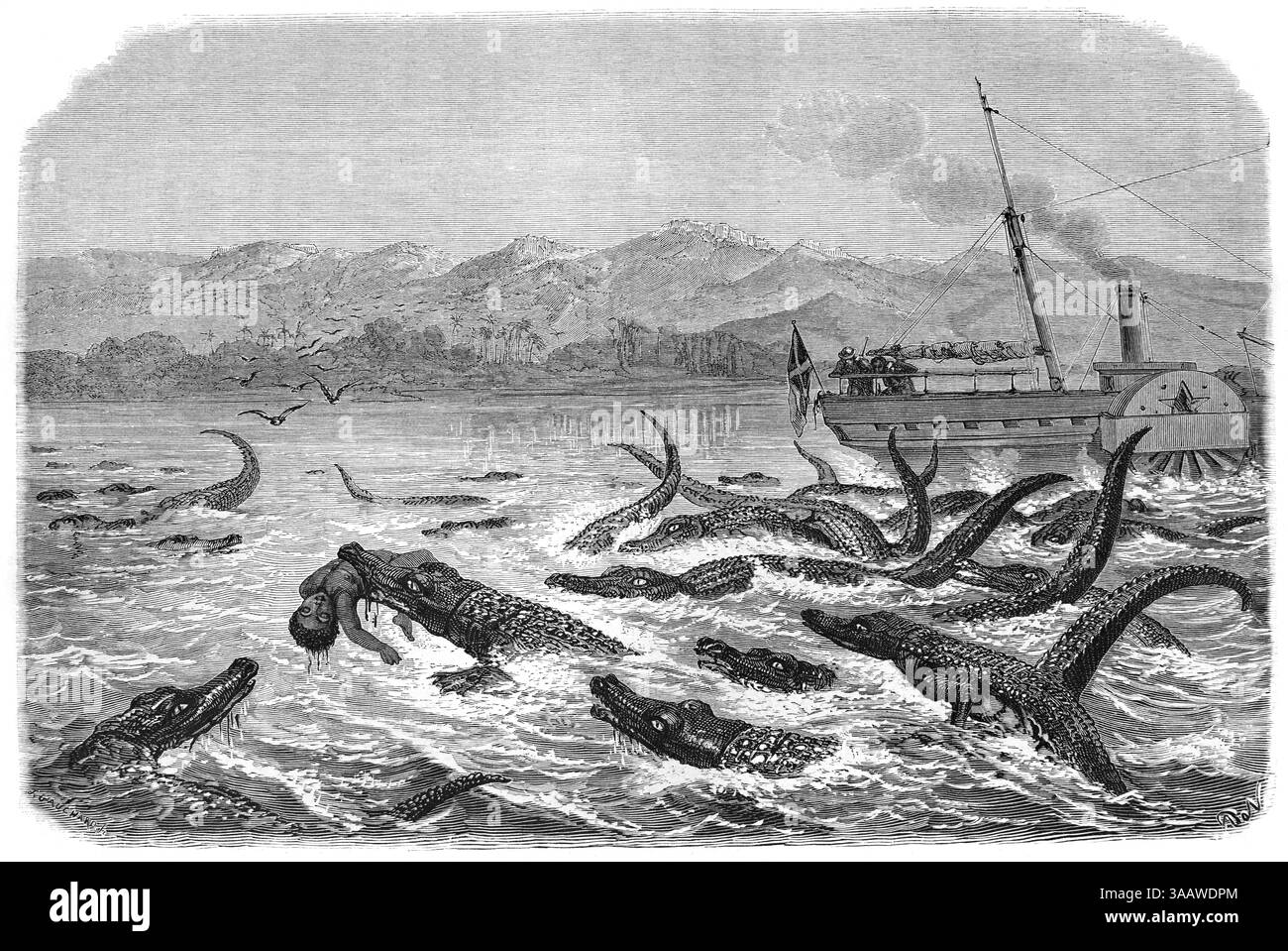 Groupe de crocodiles du Nil, Crocodylus niloticus, sur la rivière Chiredzi, un affluent de la rivière Runde, Zimbabwe, avec un bateau fluvial, bateau à vapeur ou pédalo, Afrique. Gravure vintage ou historique ou illustration 1866 Banque D'Images