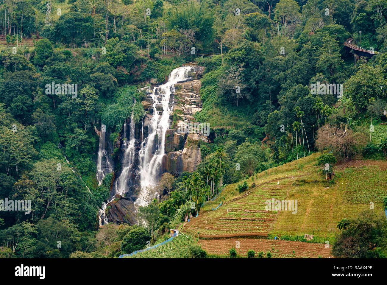 Une superbe cascade à plusieurs niveaux descend en cascade les falaises rocheuses d'Ella, au Sri Lanka, entourée d'une végétation luxuriante et de terres agricoles en terrasses, créant un cadre serein Banque D'Images