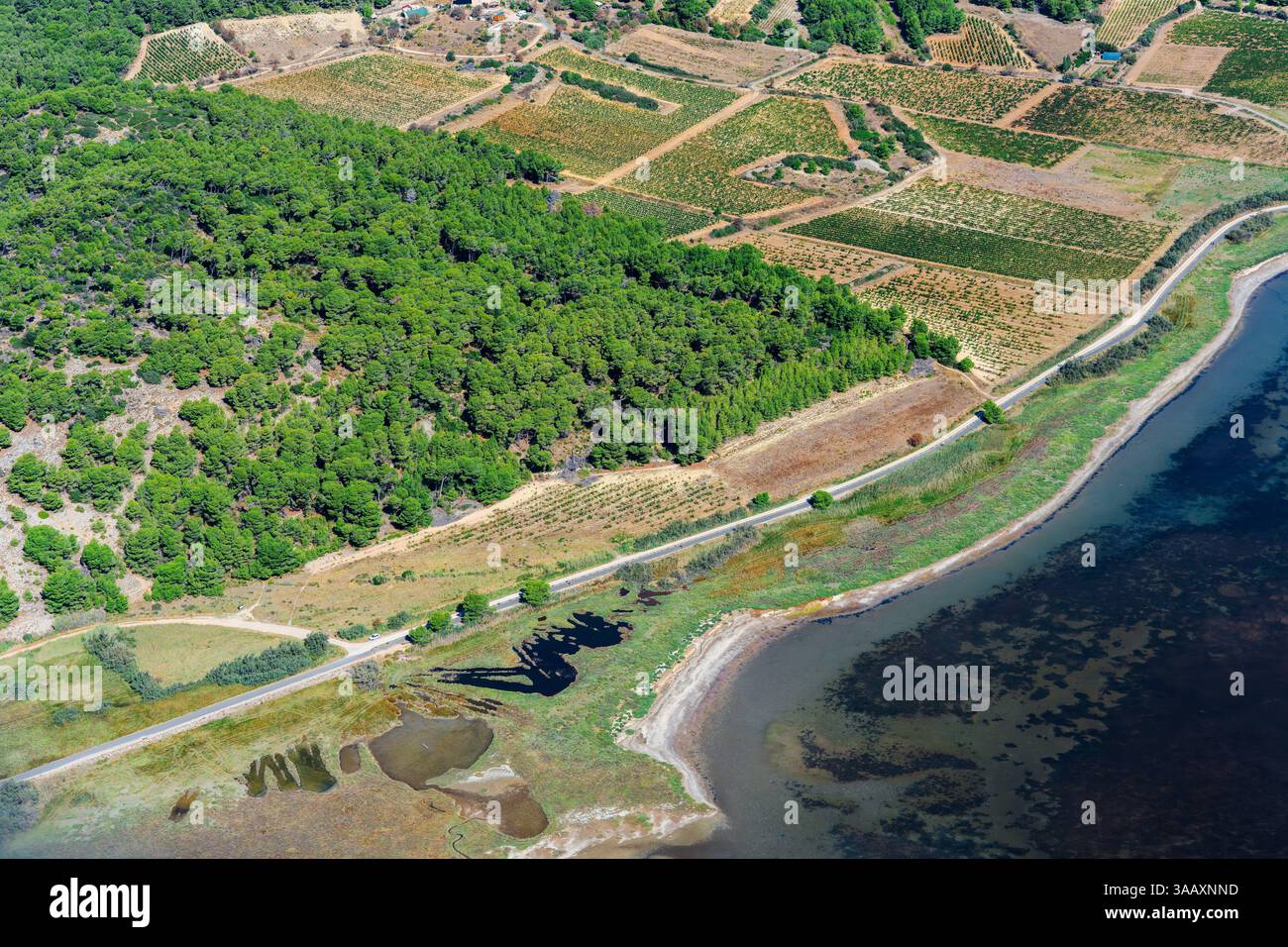 France, Aude, Parc naturel régional Narbonnaise en Méditerranée, Côte du midi, Côte du midi, Grand Narbonne, Gruissan, vue aérienne du massif de la Clape et des vignobles parsemés (vue aérienne) Banque D'Images
