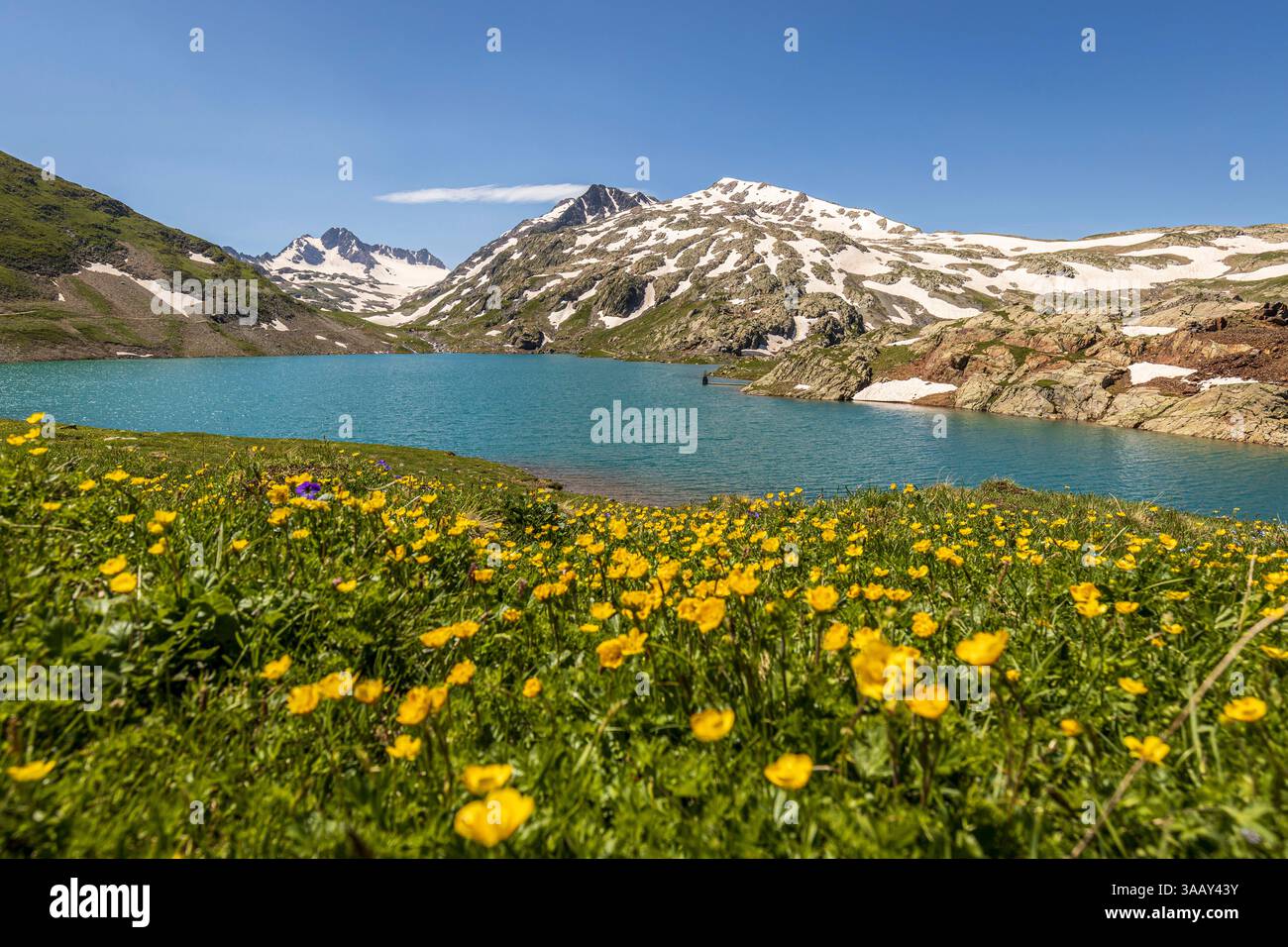 France, Savoie, Saint-Sorlin d'Arves, le Lac Bramant (ou Grand Lac 2448 m) avec de gauche à droite, le col des Quirlies (2993 m), le pic de l'Etendard (3464 m) et l'aiguille du laisse (2879 m) Banque D'Images