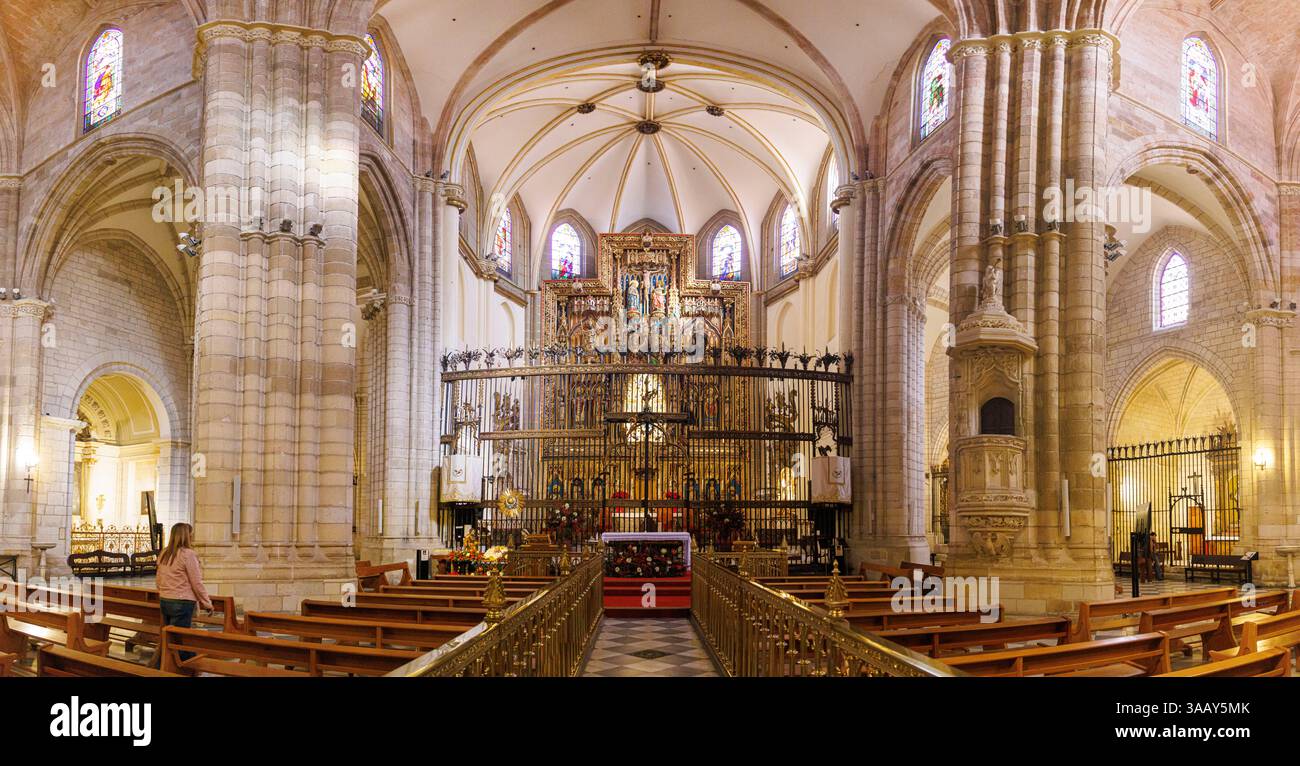 Espagne, région de Murcie, Murcie, le chœur de la cathédrale Banque D'Images
