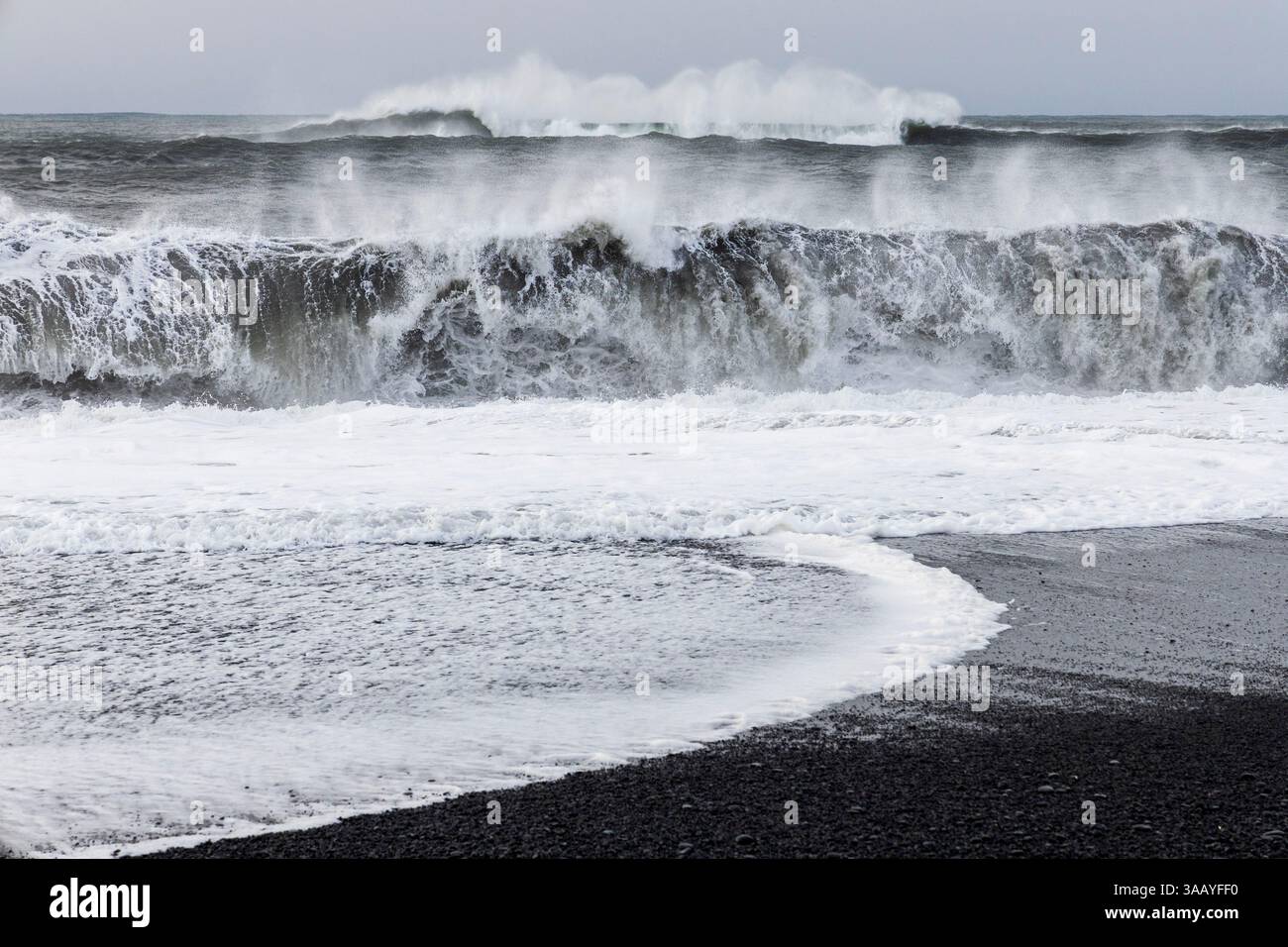 Islande, région de Sudurland, Vik, plage de sable noir de Reynisfjara Banque D'Images