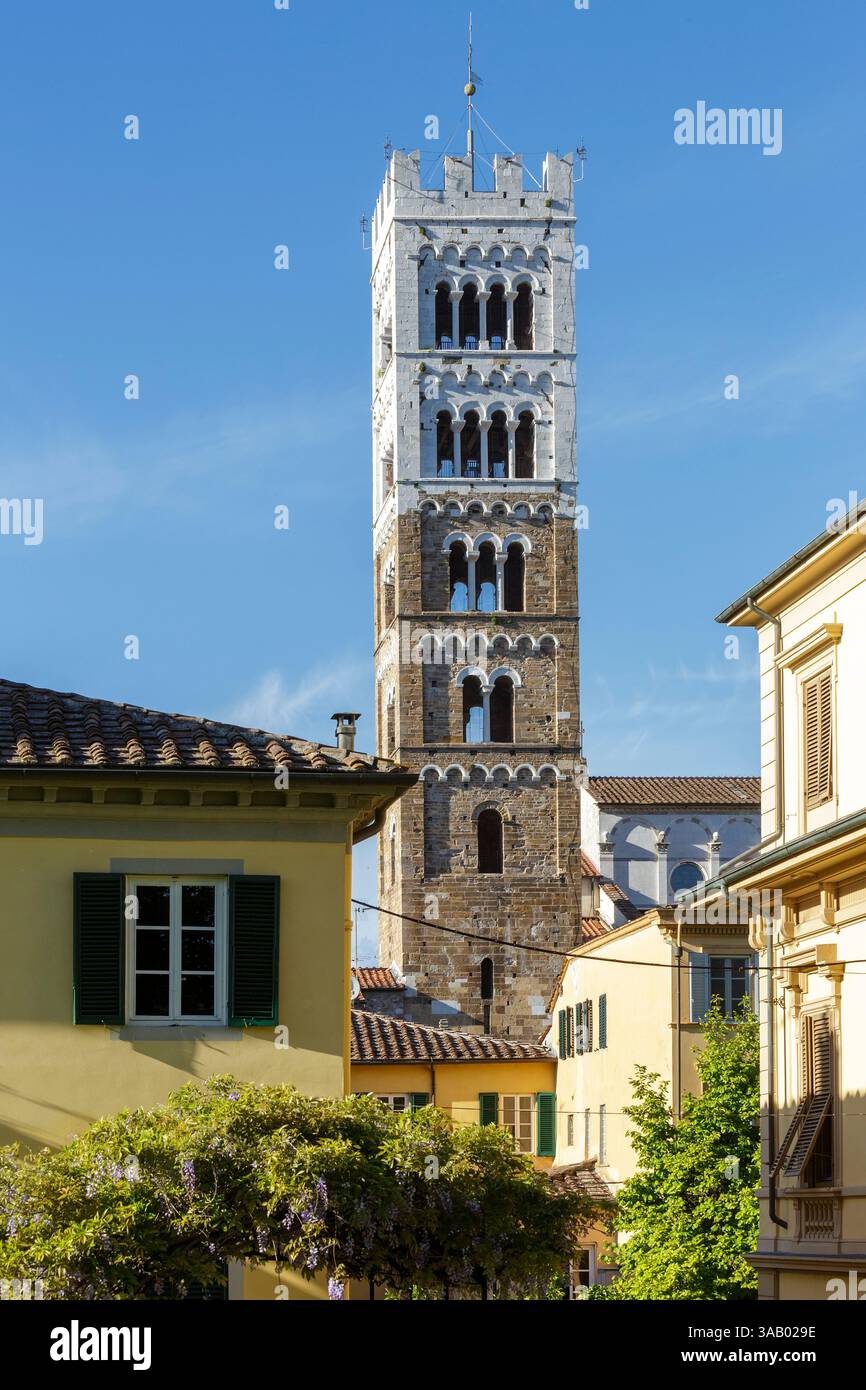 Italie, Toscane, Province de Lucques, Lucques, vue générale depuis les murs fortifiés, le beffroi de la cathédrale San Martino (cathédrale Saint Martin) et les façades des maisons situées via Francesco Carrara Banque D'Images