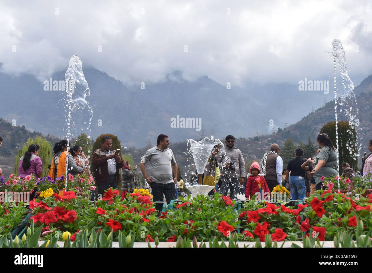 Srinagar, Inde. 01st Apr, 2025. Visite touristique le plus grand jardin de tulipes d'Asie, Indira Gandhi Memorial Garden niché dans les contreforts de la chaîne de Zabarwan, est le plus grand d'Asie, couvre environ 30 hectares. Où les touristes peuvent profiter de milliers de tulipes de différentes couleurs en pleine floraison. Le 1er avril 2025 à Srinagar, Cachemire, Inde. (Photo par Umer Qadir/ crédit : Eyepix Group/Alamy Live News Banque D'Images