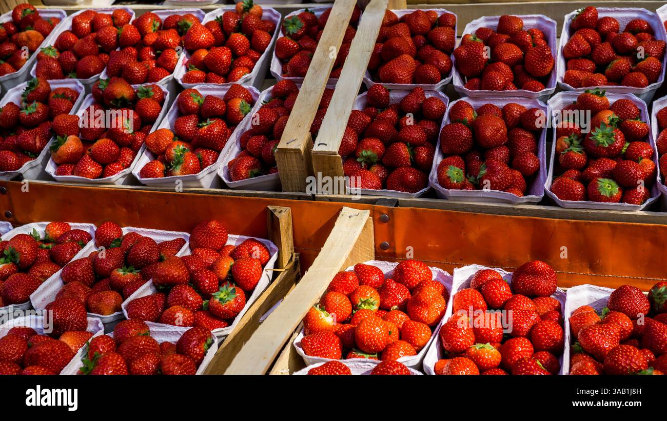 fraises fraîches au stand du marché Banque D'Images