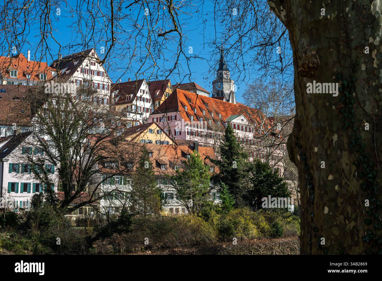 Vieille ville historique de Tübingen dans le sud de l'Allemagne vue du Neckarinsel Banque D'Images
