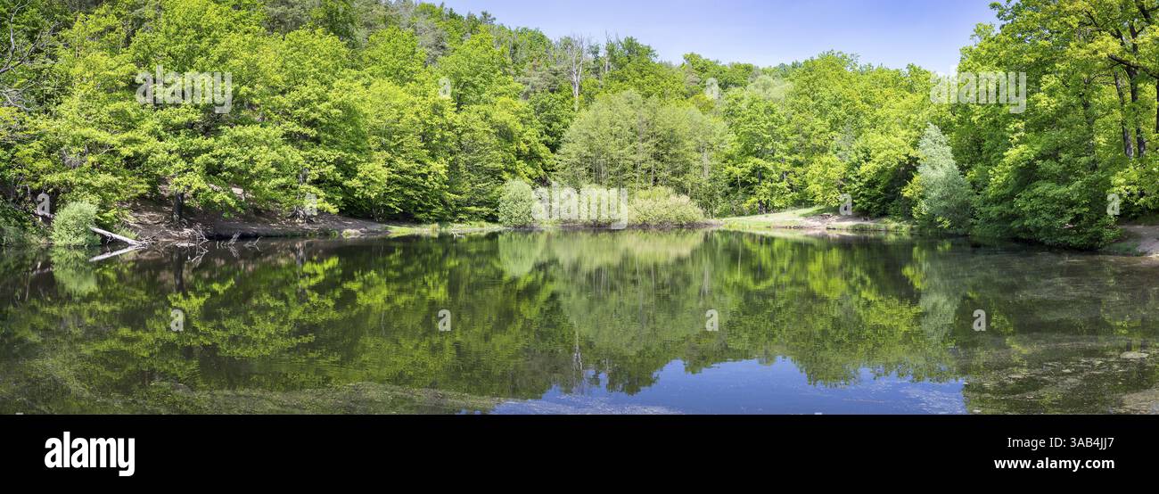 Panorama de l'étang Spitzgrundteich à Friedewald, Coswig, Saxe, Allemagne, Europe Banque D'Images