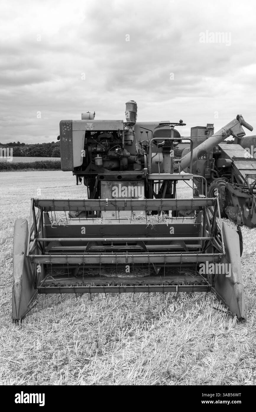 Haselbury Plucknet.Somerset.Royaume-Uni. 17 août 2024.Une moissonneuse-batteuse Massey Ferguson 31 est présentée lors d'un événement agricole de Yesterdays Banque D'Images