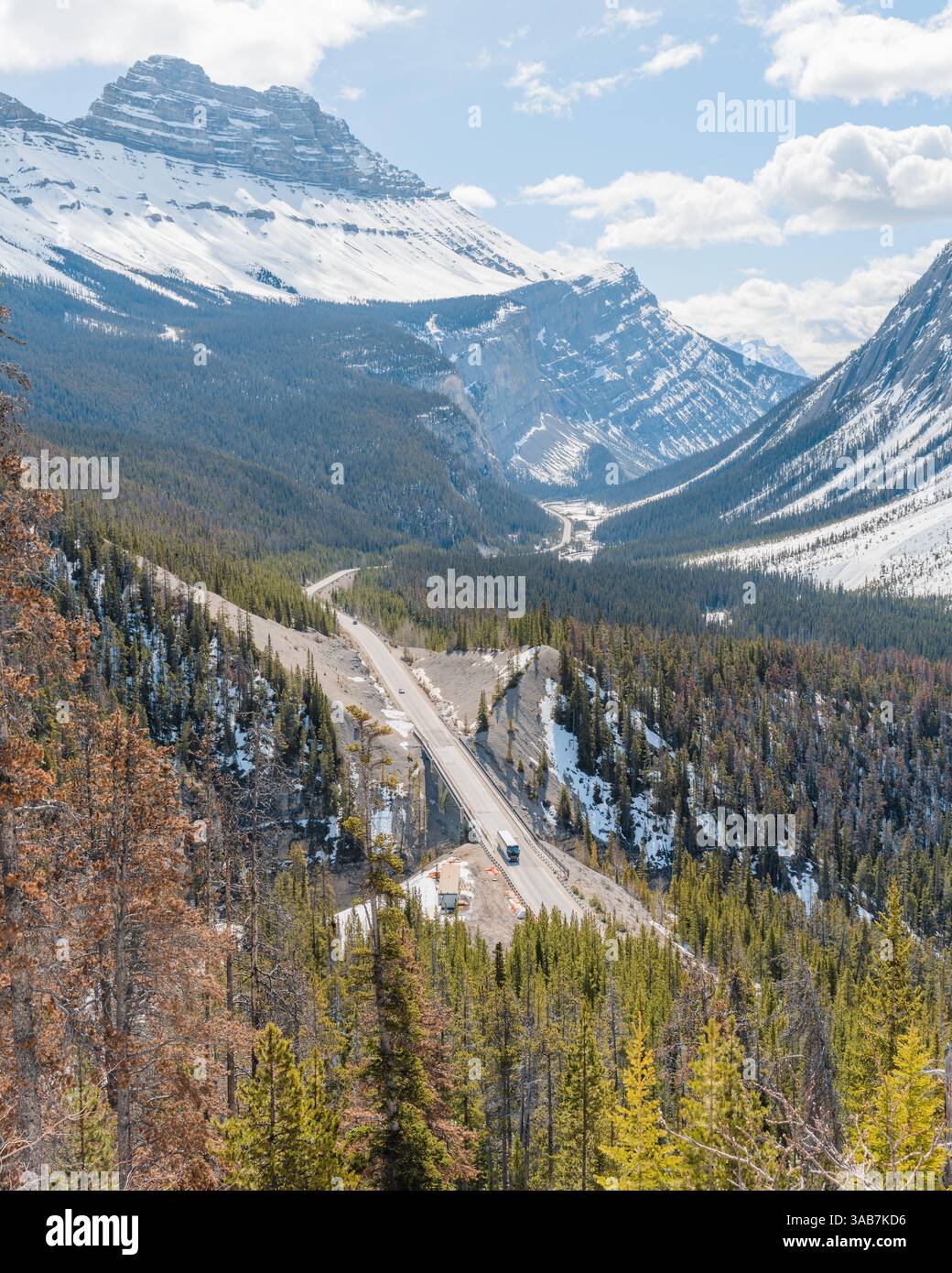 Une vue imprenable sur le Big Bend le long de la promenade des champs de glace dans les Rocheuses canadiennes, avec des courbes montagneuses spectaculaires, des forêts alpines denses et bre Banque D'Images