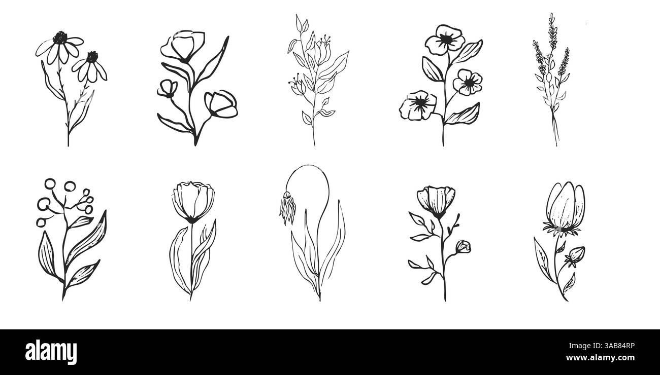 Dessin floral botanique féminin de ligne d'été de fleur sauvage. Trendy minimal Elements herbes de mariage, fleurs minimalistes avec des feuilles élégantes. Petit tatouage, élégant rustique. Illustration vectorielle Illustration de Vecteur