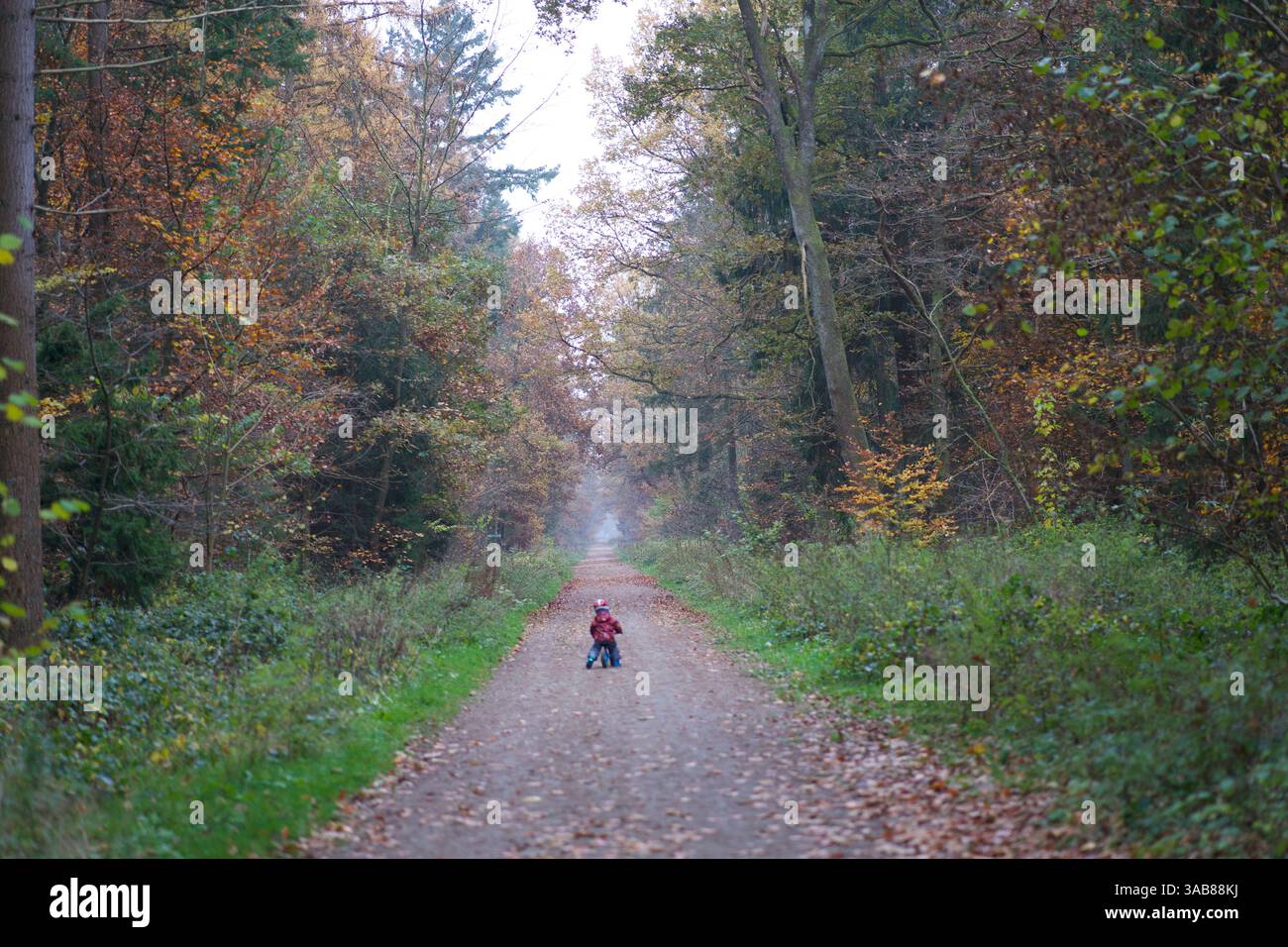 Garçon Banque D'Images