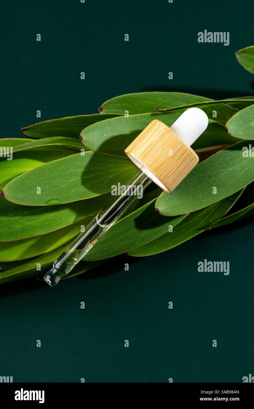 Eau micellaire transparente pour le soin du visage affichée dans un flacon de pipette minimaliste, reposant sur des feuilles vertes éclatantes sur un fond sombre. Banque D'Images